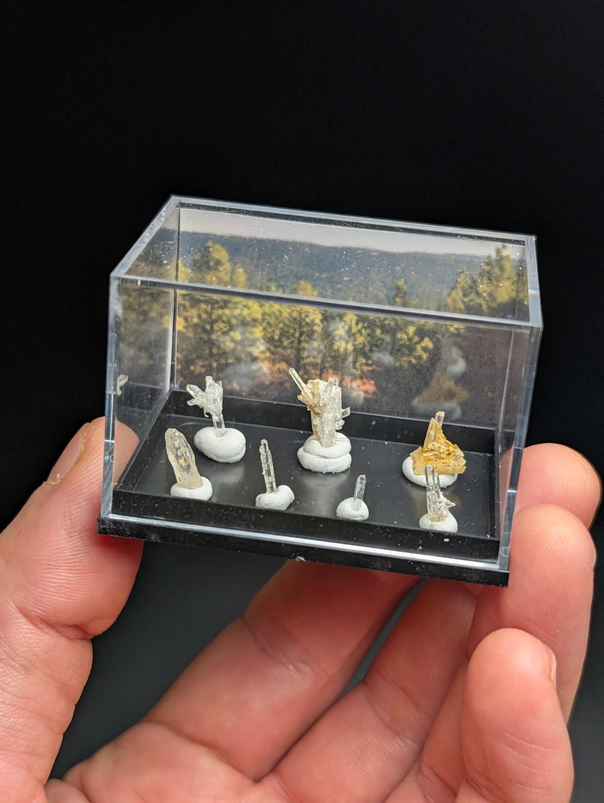 A clear acrylic display case holding miniature mineral specimens with white, transparent and gold-colored crystals mounted on small white bases.
