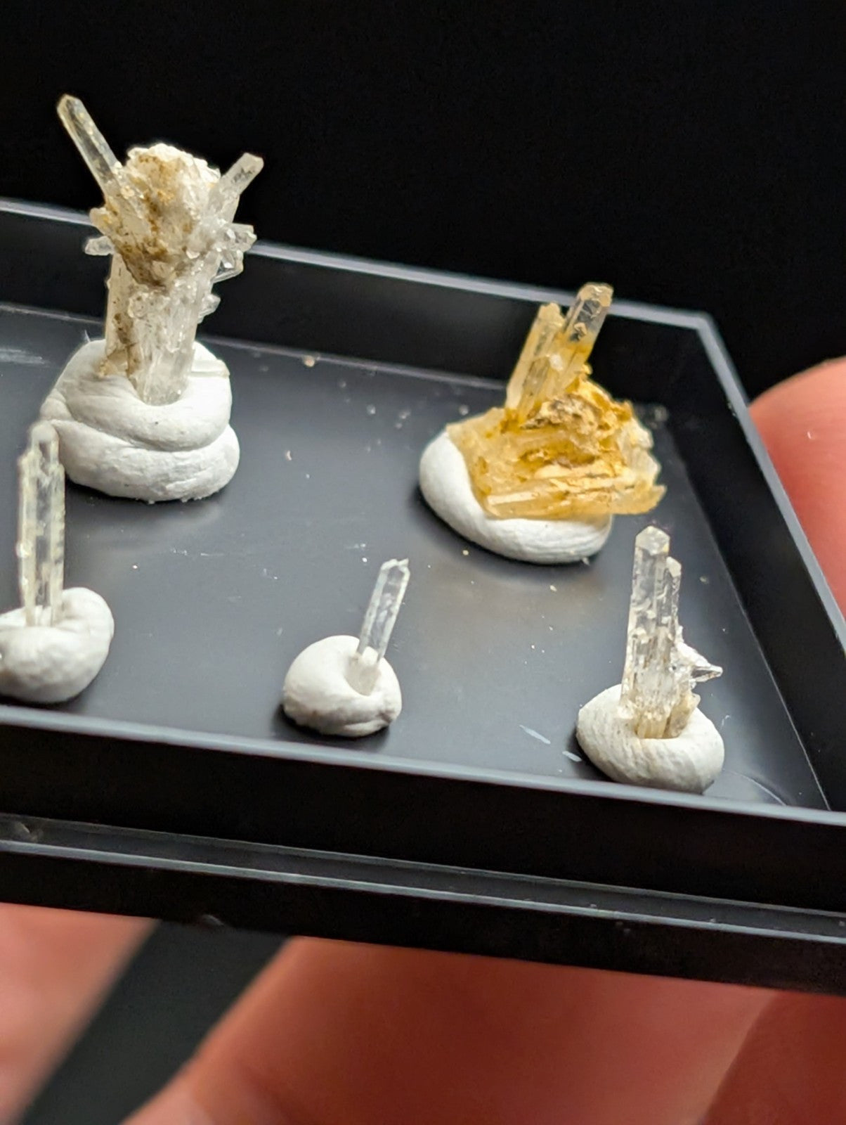 A collection of five miniature crystal specimens, each mounted on a white base and displayed in a black tray.