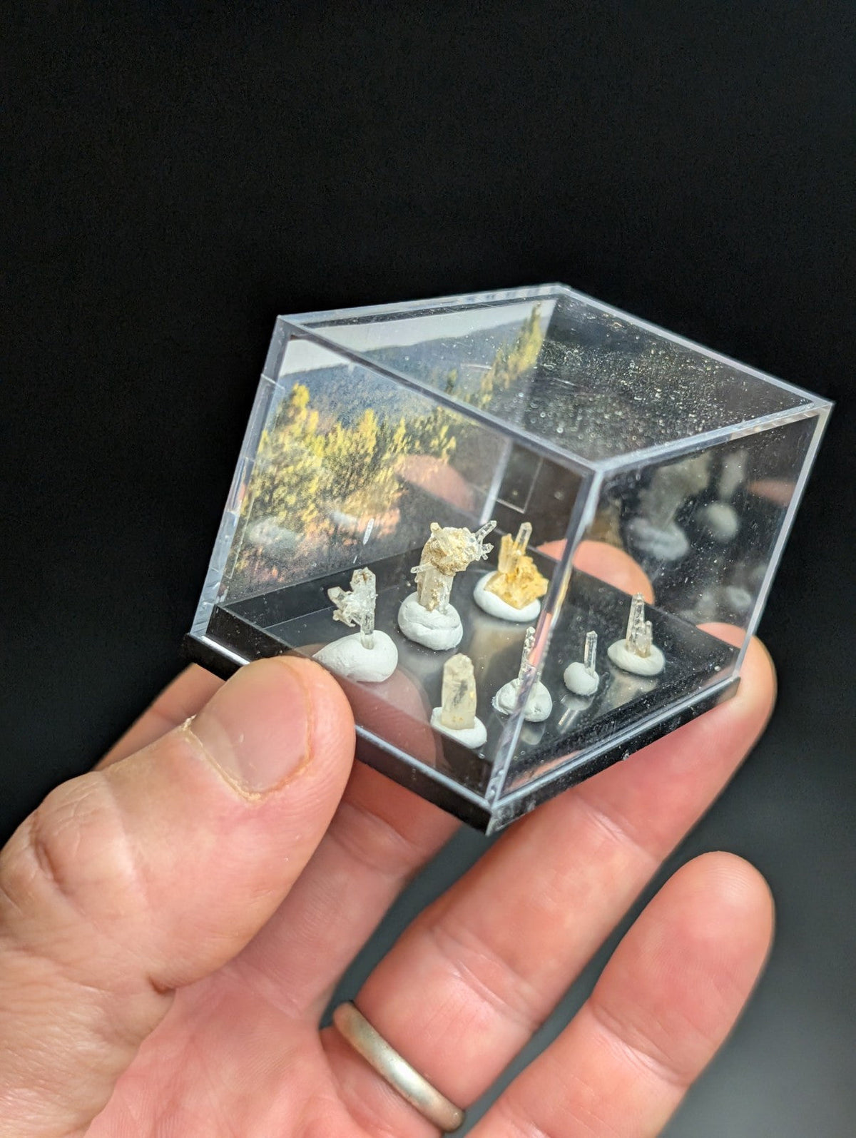 透明立方体展示盒内陈列着多件白色与金色的微型水晶矿石标本。