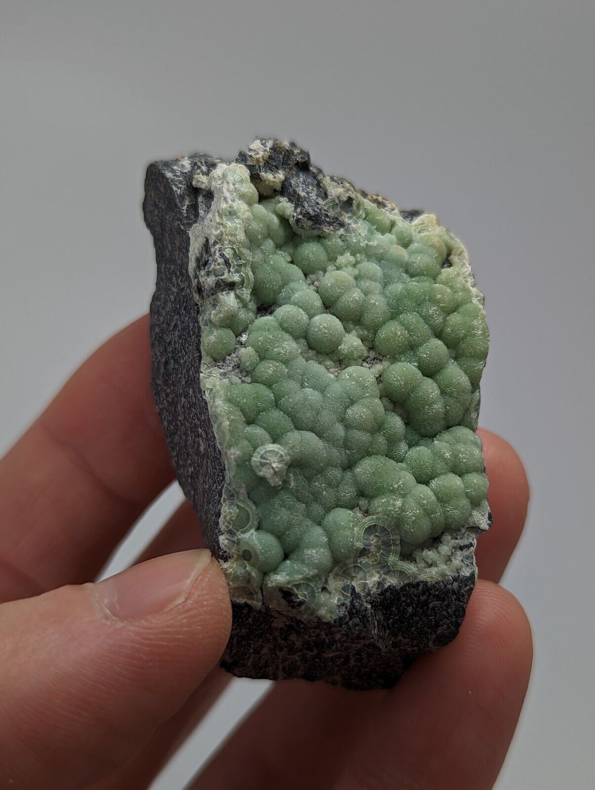Sparkly Wavellite - Fantastic 1990s Old Stock - Mauldin Mountain Arkansas - Collectibles:Rocks Fossils &