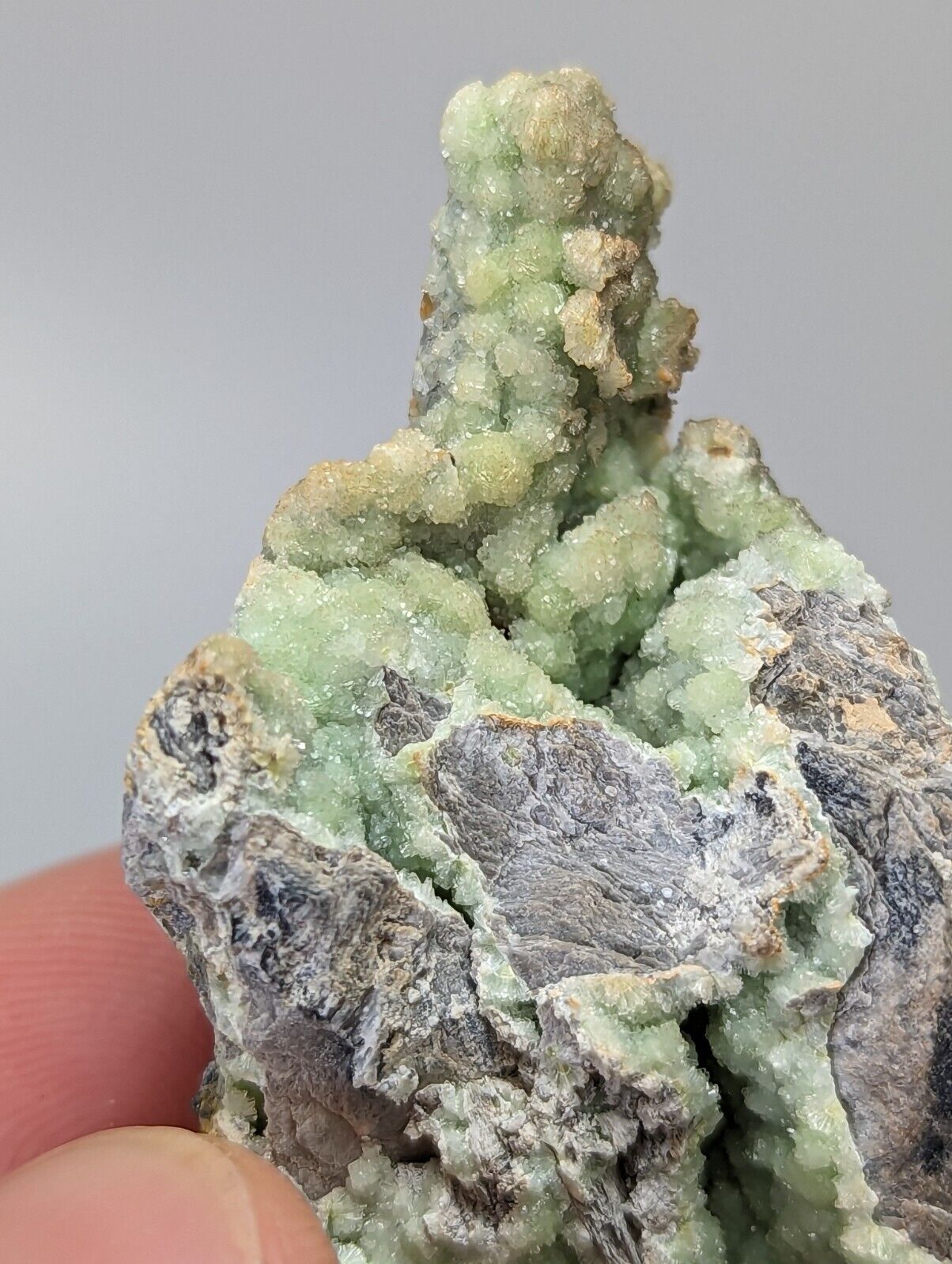 Sparkly Wavellite - Mauldin Mountain Montgomery County Arkansas - Collectibles:Rocks Fossils & Minerals:Crystals