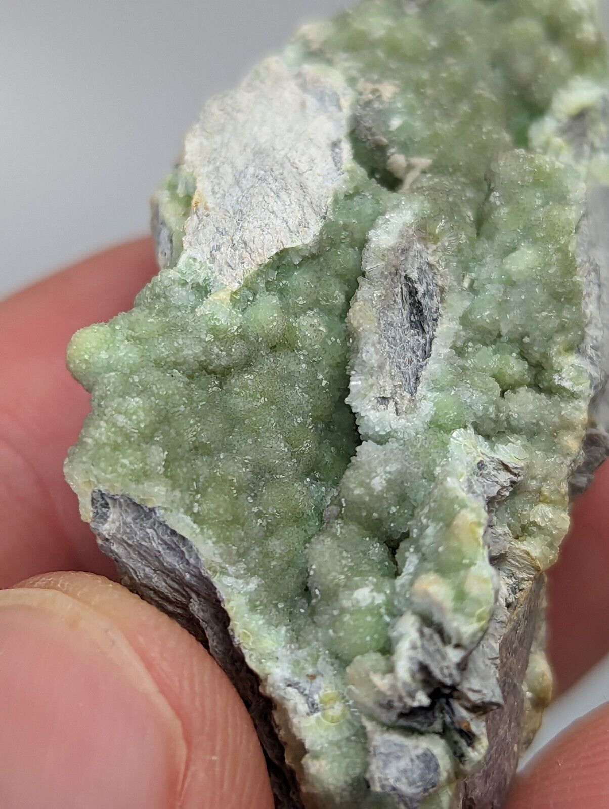 Sparkly Wavellite - Mauldin Mountain Montgomery County Arkansas - Collectibles:Rocks Fossils & Minerals:Crystals