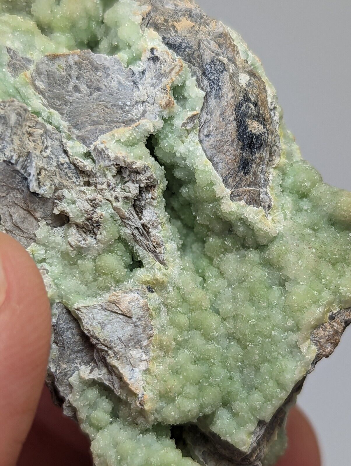 Sparkly Wavellite - Mauldin Mountain Montgomery County Arkansas - Collectibles:Rocks Fossils & Minerals:Crystals