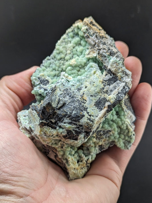 A hand holds a rough, irregularly shaped mineral specimen featuring clusters of light green, bead-like crystals intergrown with darker gray and black rock.