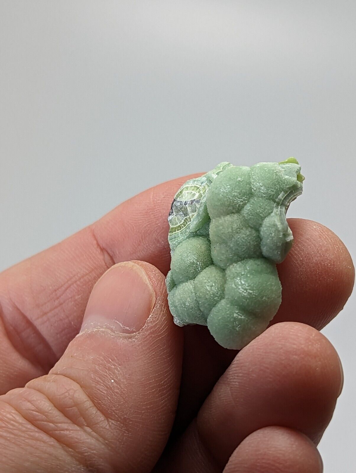 Special Wavellite - Fantastic 1990s Old Stock - Mauldin Mountain Arkansas - Collectibles:Rocks Fossils &