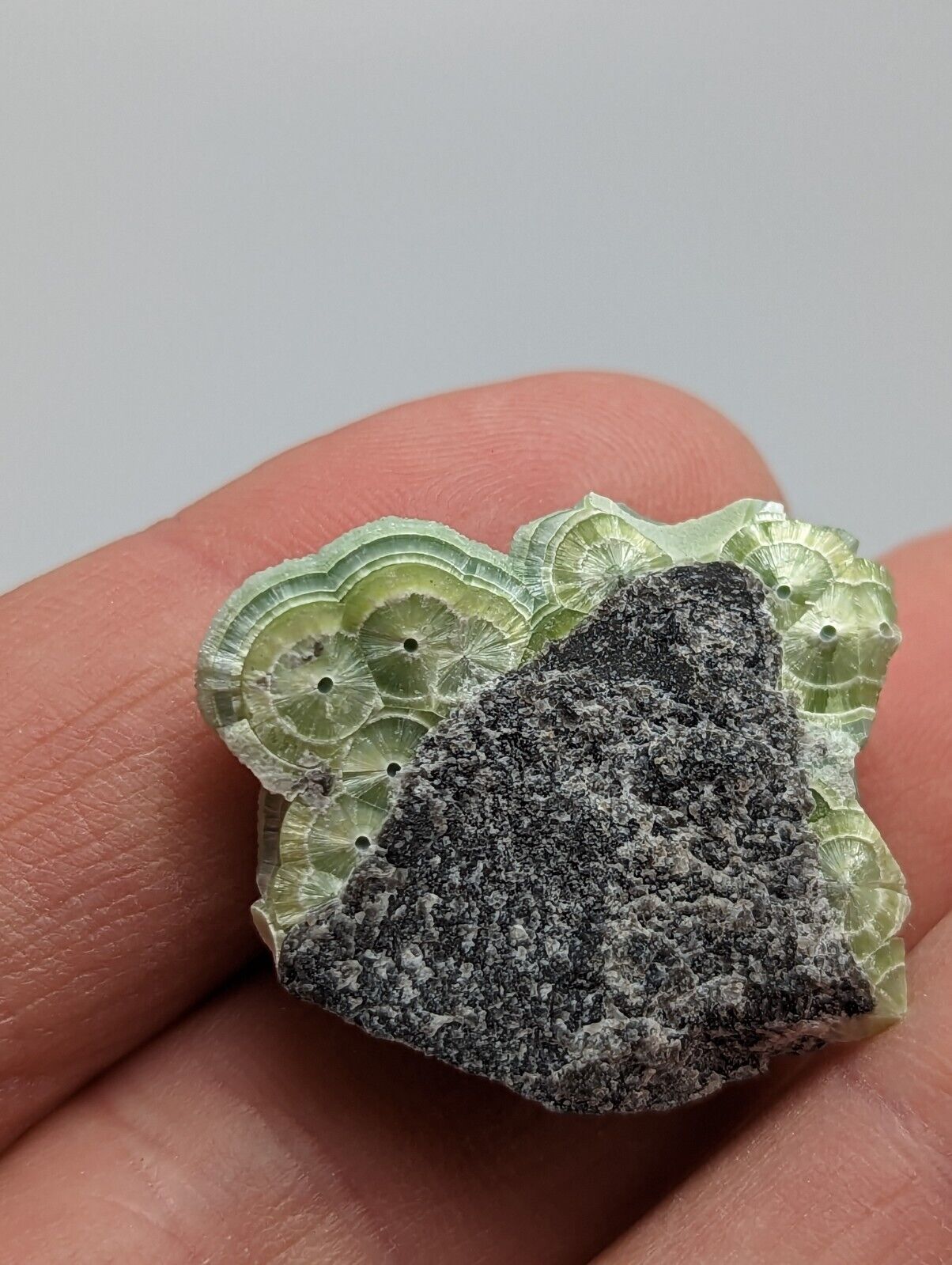 Special Wavellite - Fantastic 1990s Old Stock - Mauldin Mountain Arkansas - Collectibles:Rocks Fossils &