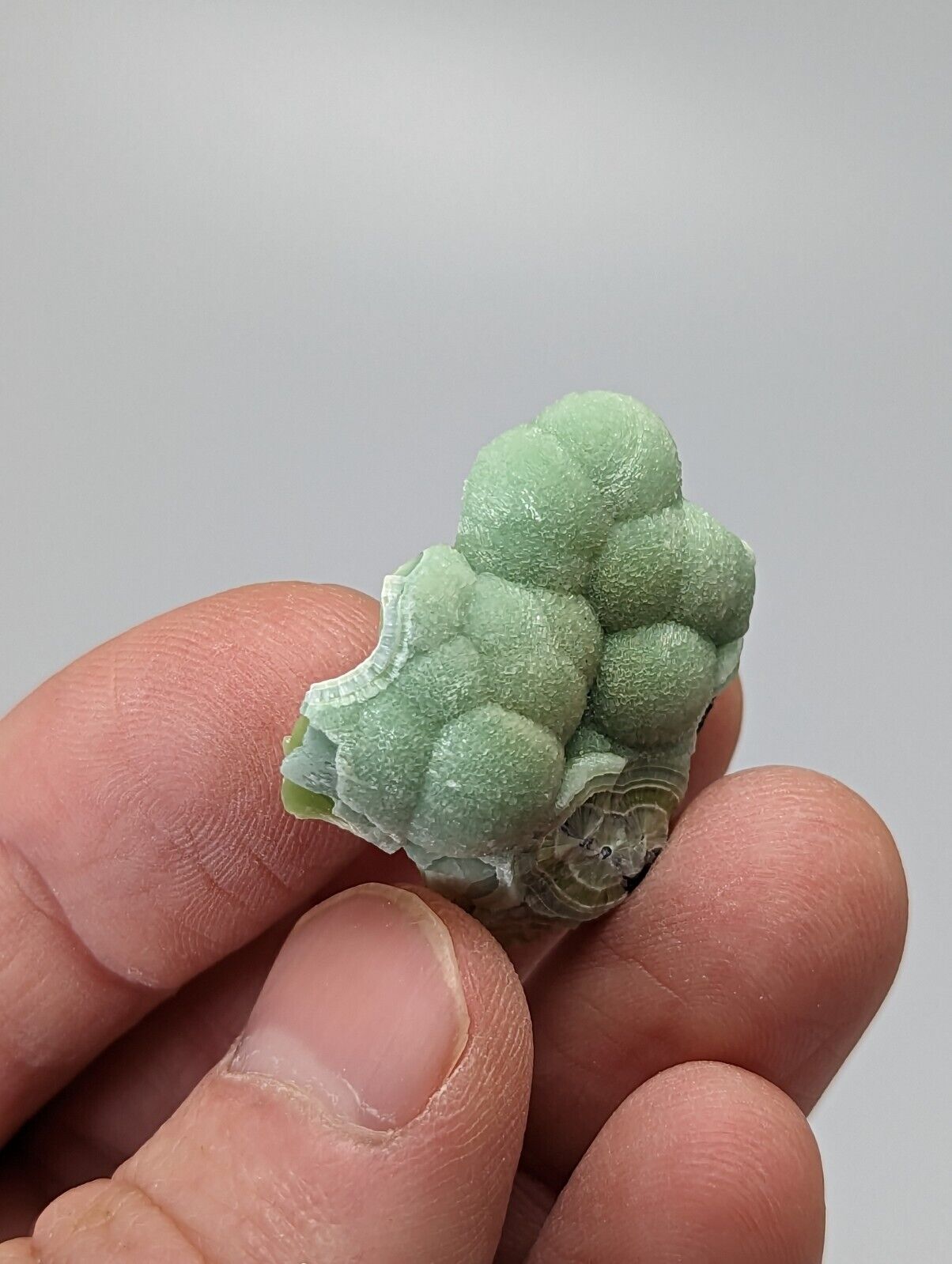 Special Wavellite - Fantastic 1990s Old Stock - Mauldin Mountain Arkansas - Collectibles:Rocks Fossils &