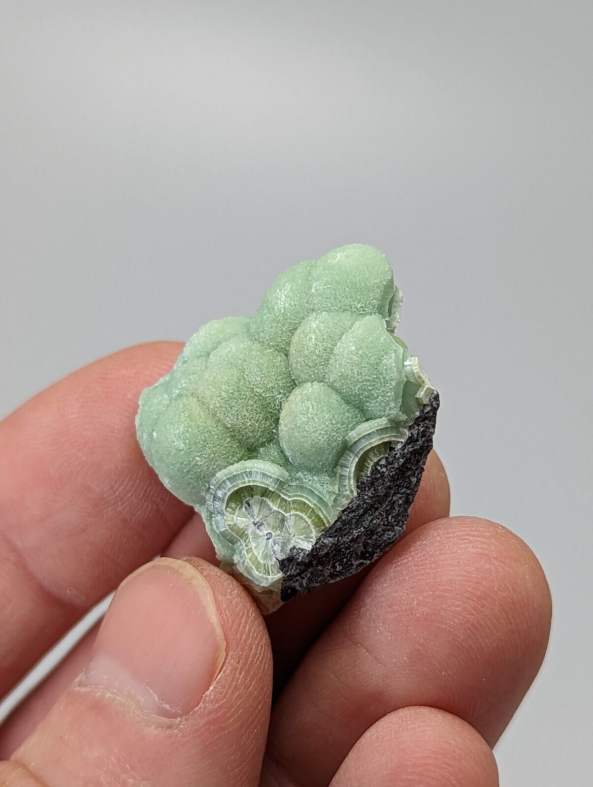 Special Wavellite - Fantastic 1990s Old Stock - Mauldin Mountain Arkansas - Collectibles:Rocks Fossils &