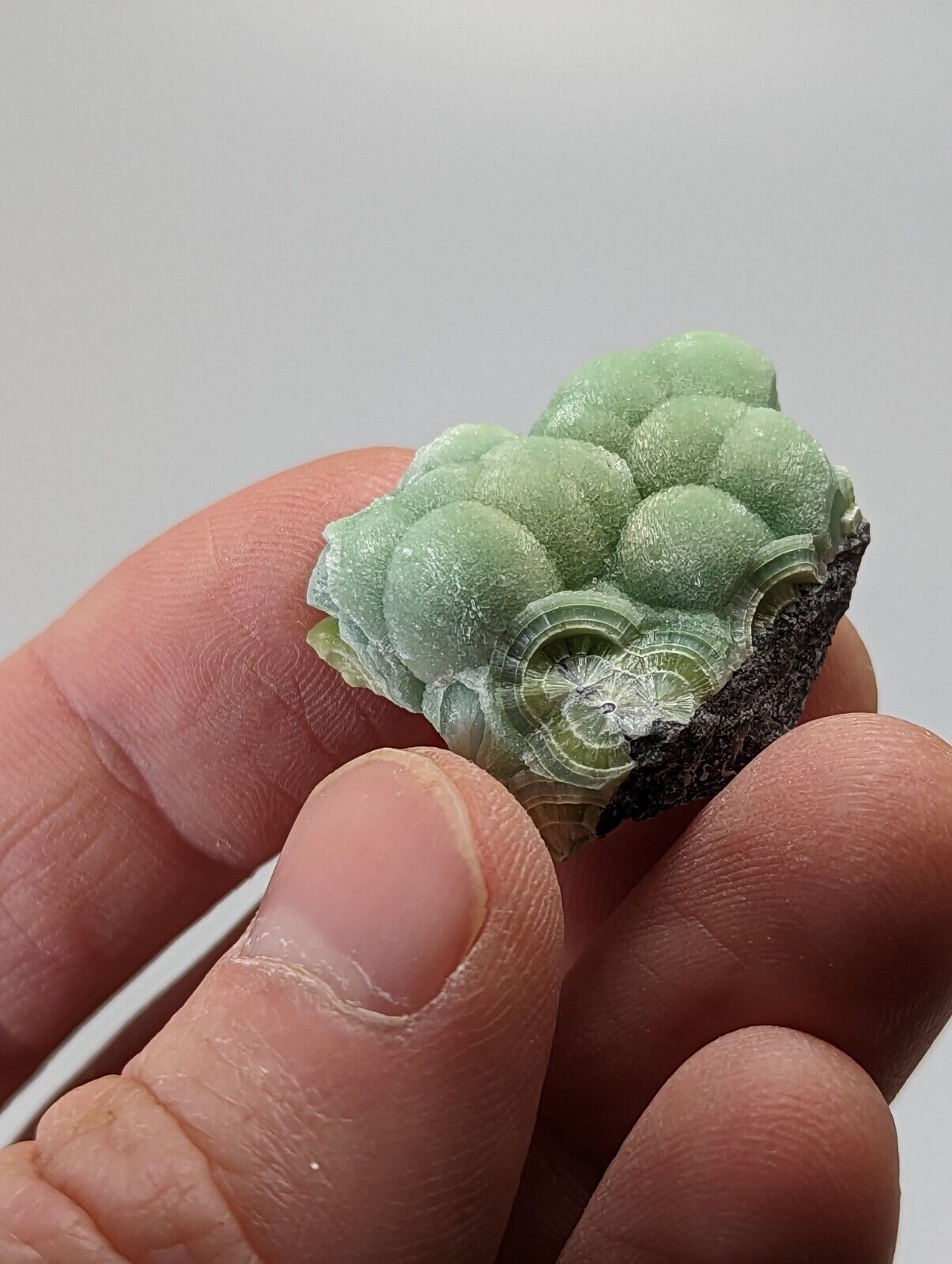 Special Wavellite - Fantastic 1990s Old Stock - Mauldin Mountain Arkansas - Collectibles:Rocks Fossils &