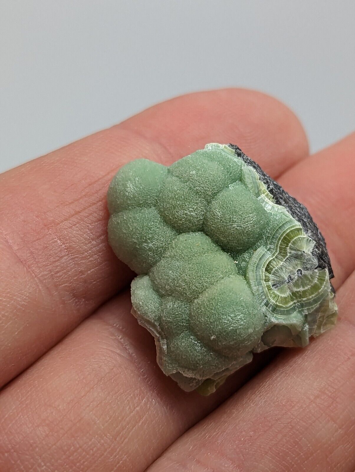 Special Wavellite - Fantastic 1990s Old Stock - Mauldin Mountain Arkansas - Collectibles:Rocks Fossils &