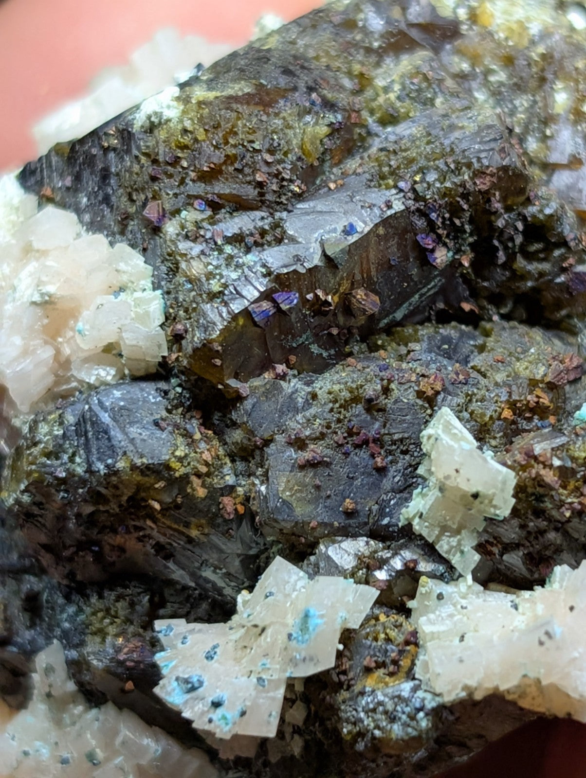 A rugged mineral specimen featuring translucent white crystals with blue and purple inclusions set against a dark, earthy matrix.