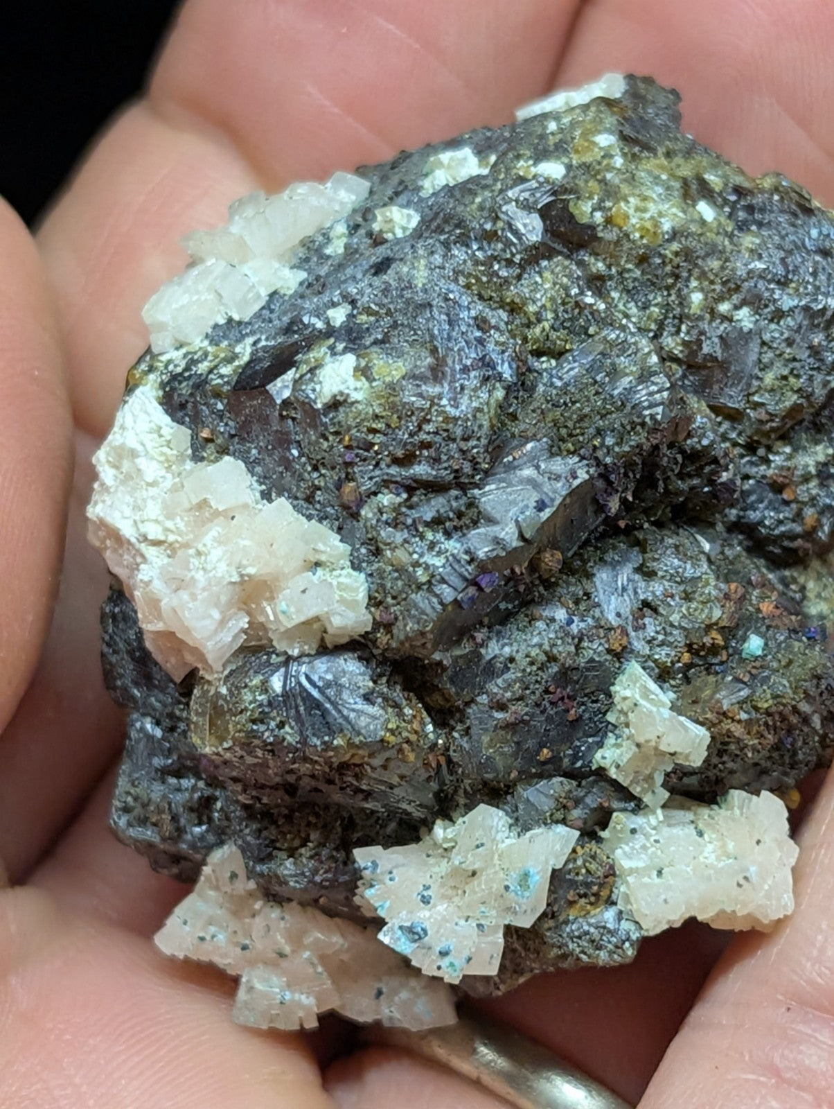 A hand holds a dark, rough-textured mineral specimen featuring prominent white crystalline formations with subtle blue and green flecks.