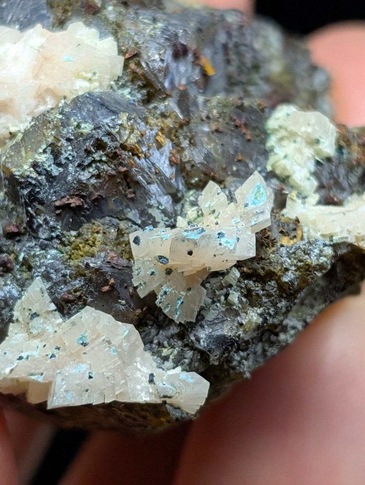 A cluster of translucent, pale blue-green crystals with sharp facets grows from a dark, textured rock matrix.