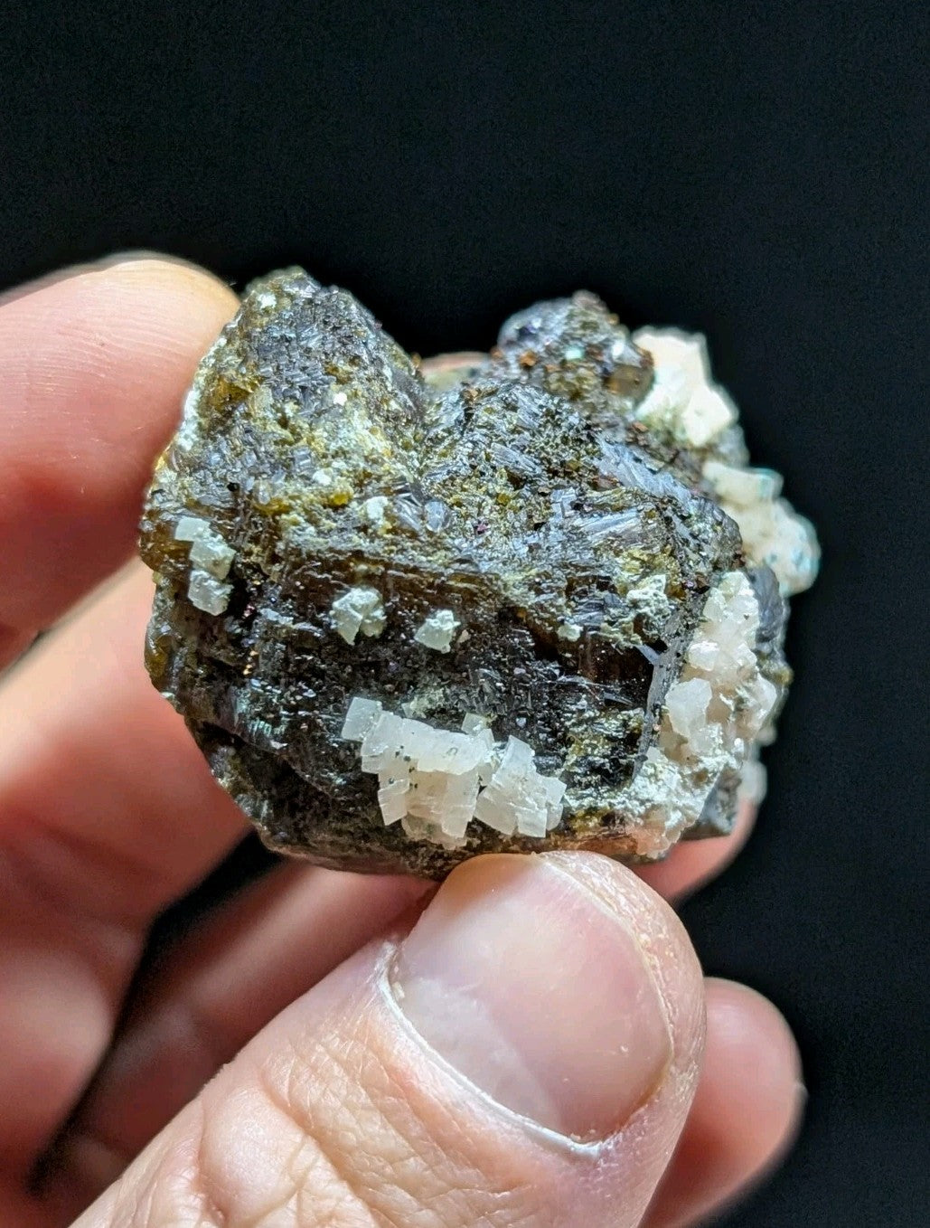 A dark, rough-textured mineral specimen with clusters of translucent white crystals growing from its surface.