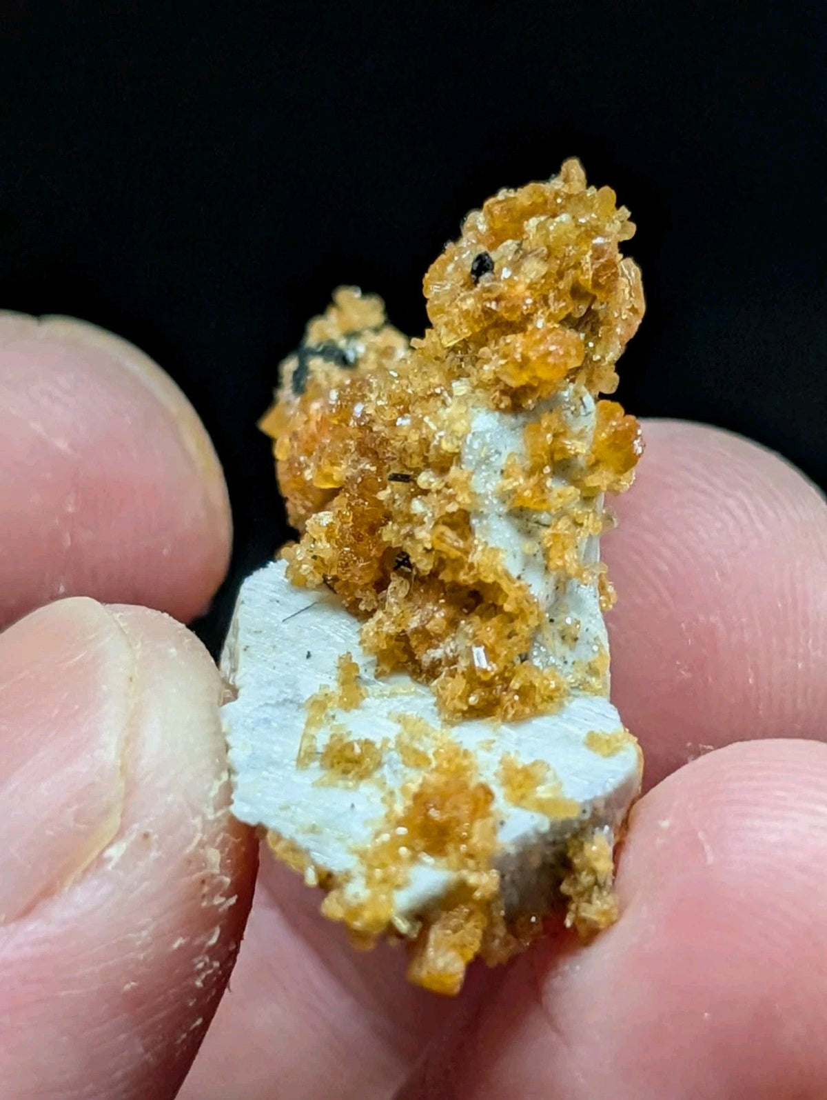 A vibrant orange-yellow crystalline mineral specimen with a textured, clustered growth atop a pale white matrix.