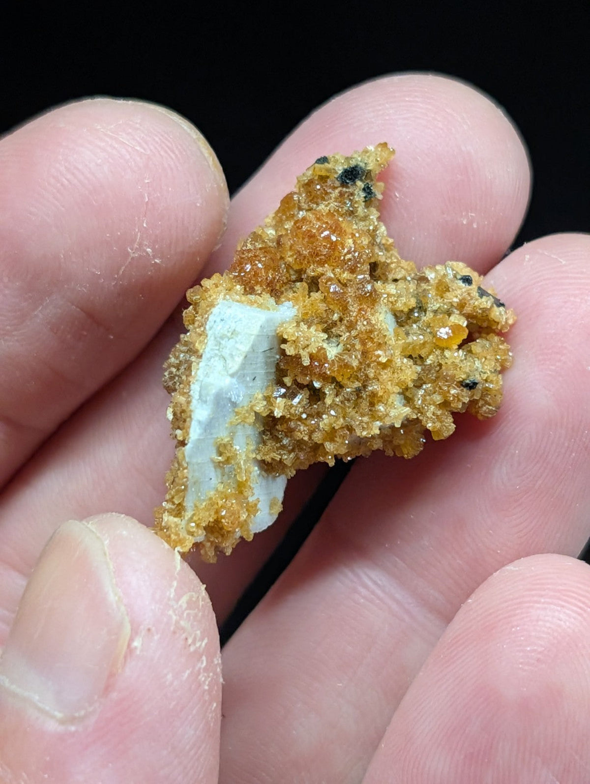 A golden-orange, crystalline mineral specimen with a contrasting pale blue-white inclusion.