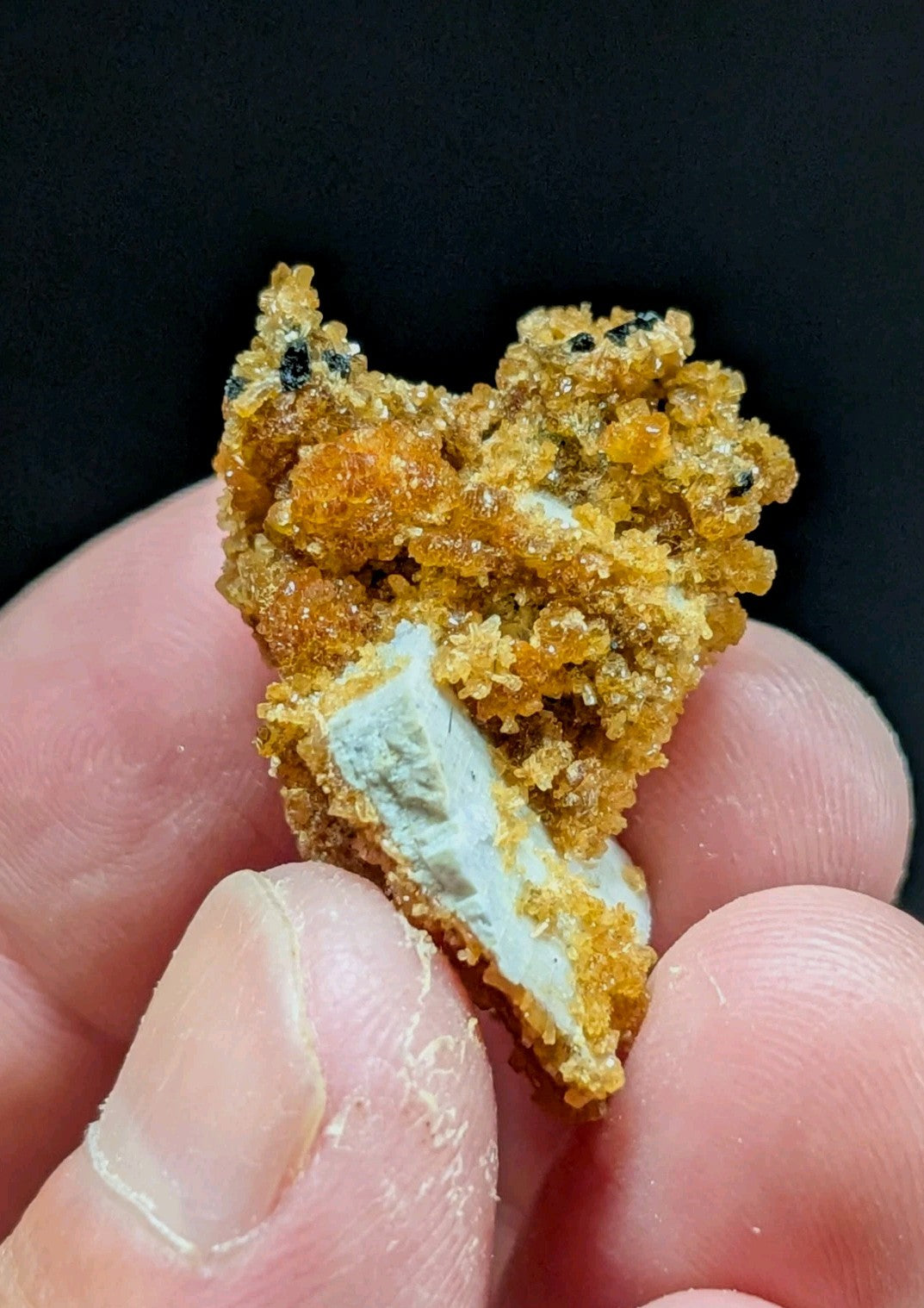 A textured, golden-orange mineral specimen with crystalline formations and a contrasting white interior.