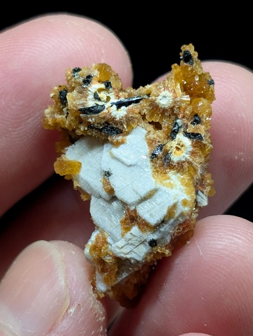 A textured mineral specimen featuring a striking combination of golden-yellow and white crystalline formations with dark inclusions.