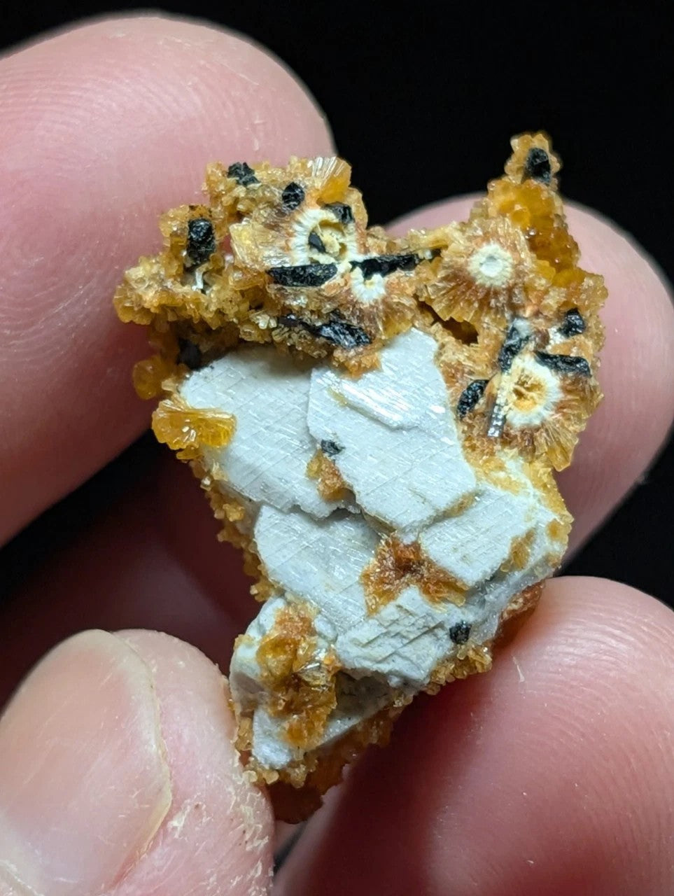 A striking mineral specimen featuring a white, crystalline core surrounded by vibrant orange-yellow dendritic formations and speckled with dark black inclusions.