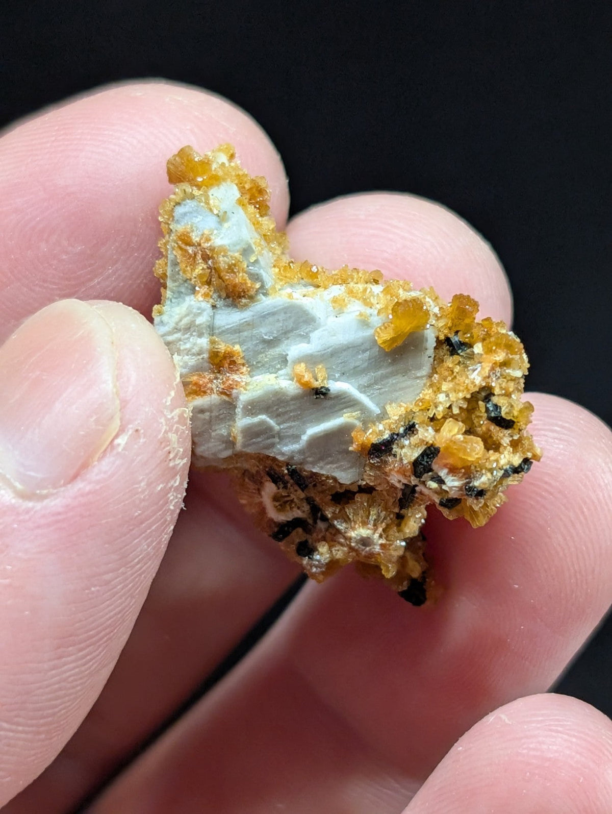 A hand holds a mineral specimen featuring a pale blue-gray base with clusters of golden-yellow crystals and dark inclusions.