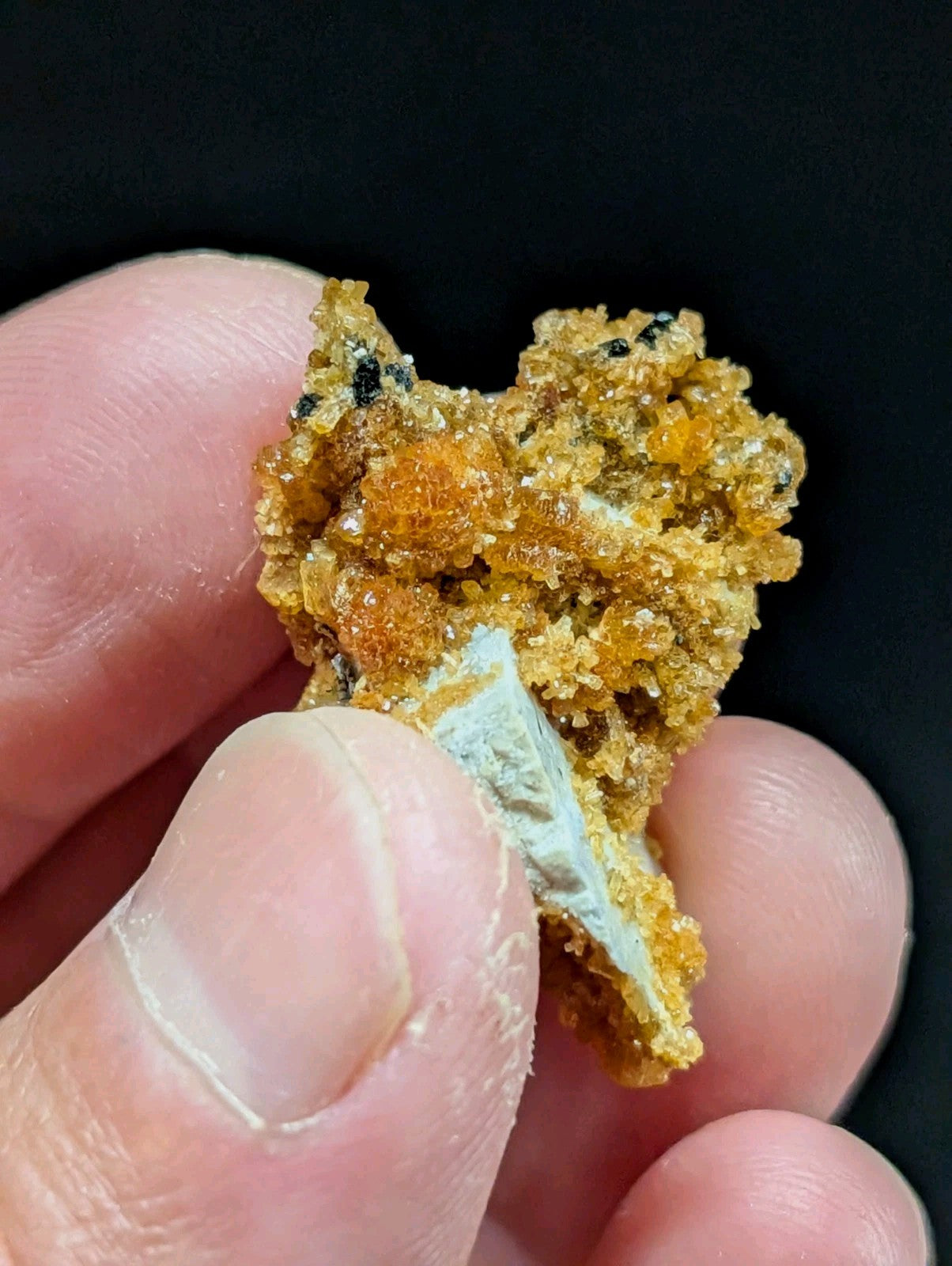 A textured, golden-orange mineral specimen with crystalline formations and a contrasting pale grayish-white section.