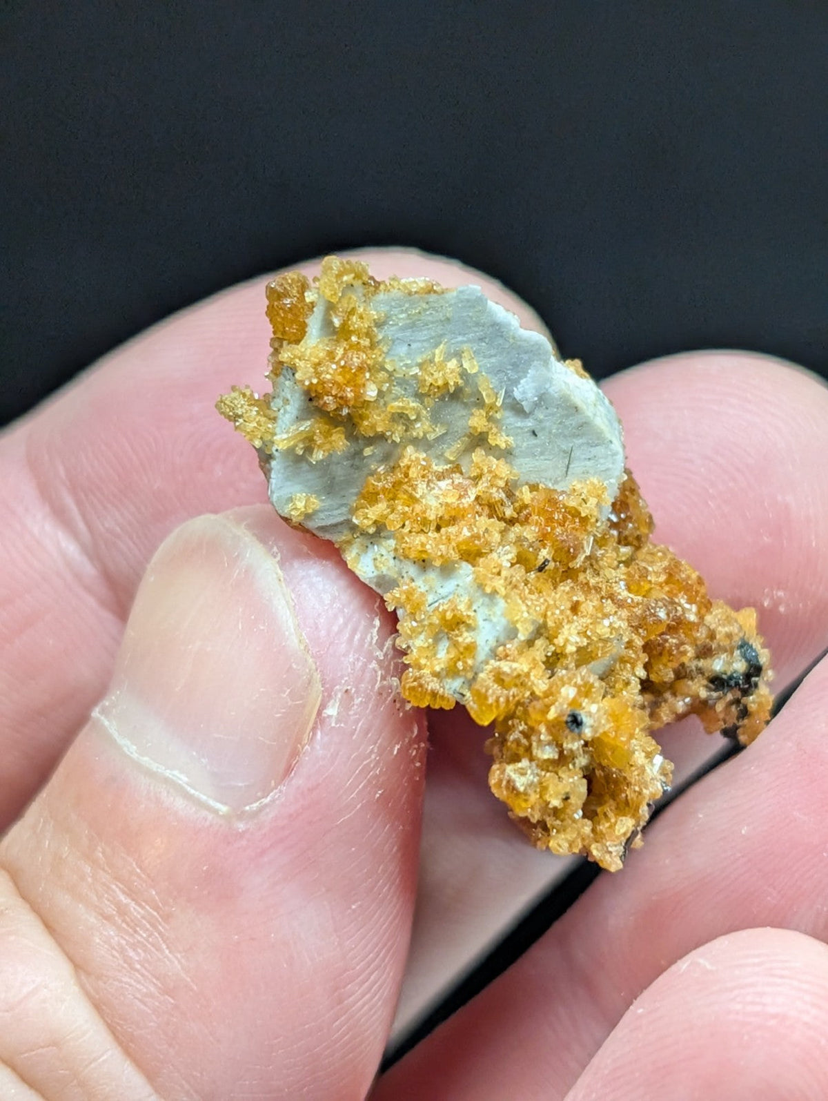 A hand holds a mineral specimen featuring a pale gray base with vibrant orange-yellow crystalline growths.