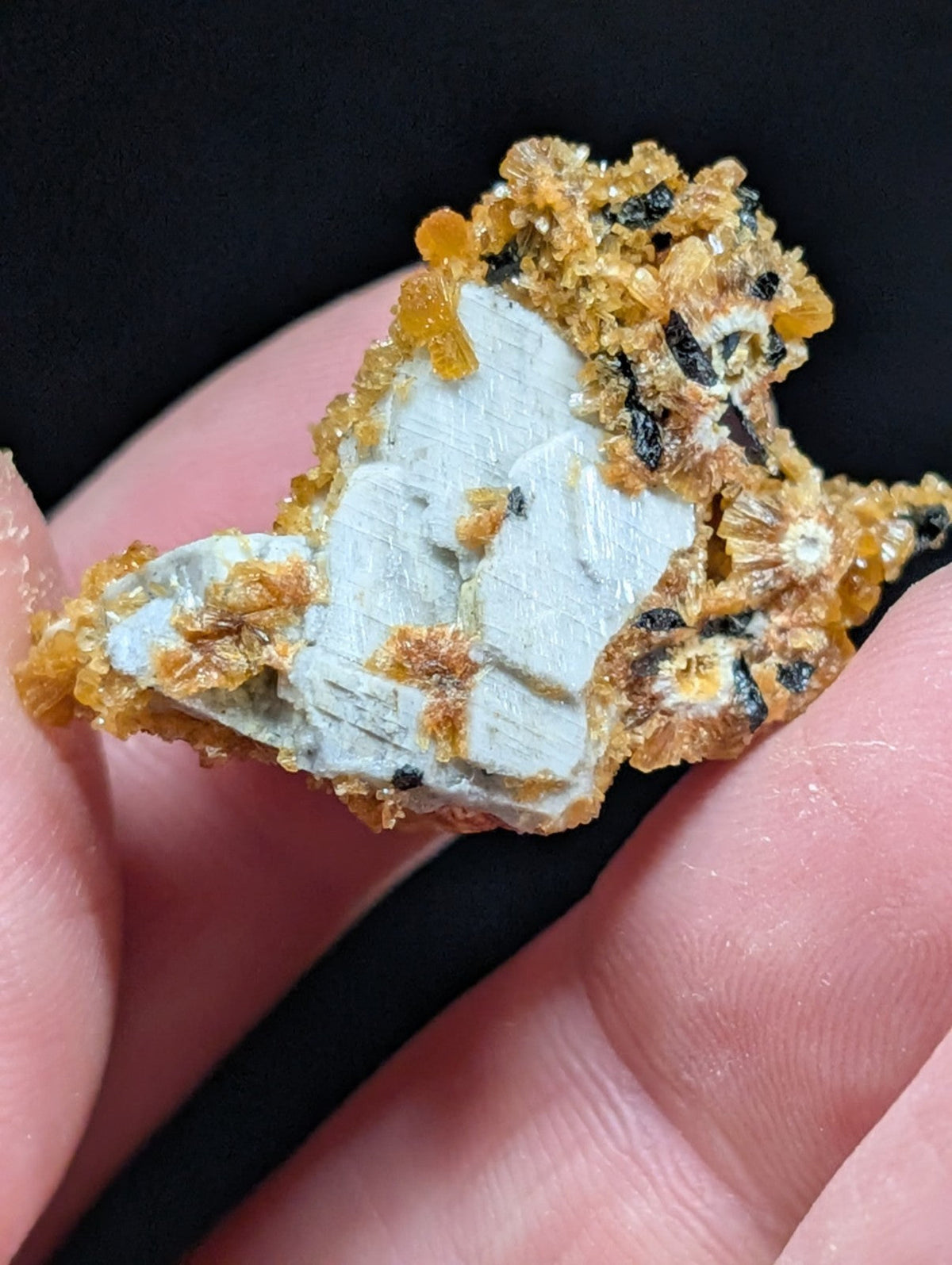 A hand holds a striking mineral specimen featuring a pale, crystalline base with vibrant orange and black crystal formations.