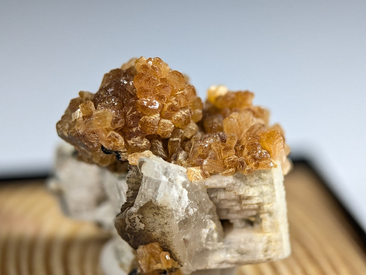 A cluster of golden-orange, translucent crystals growing atop a white, crystalline base.