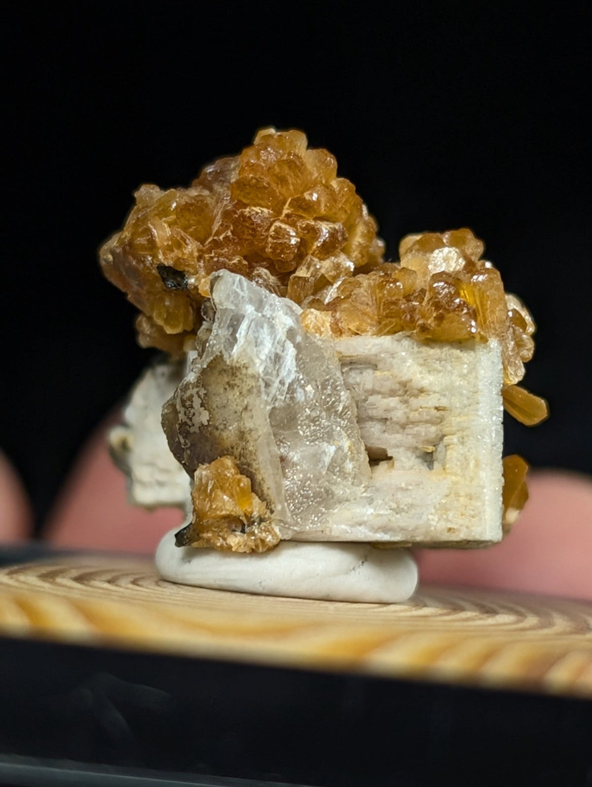 A striking amber-colored citrine crystal cluster growing atop a translucent quartz base, displayed on a white pedestal.