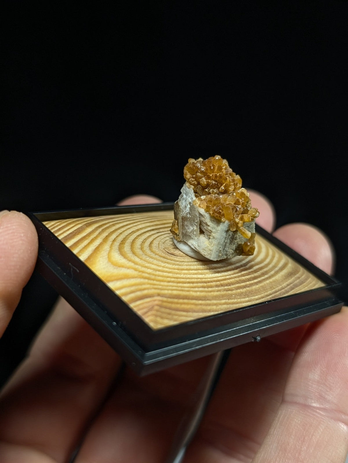 A golden-orange citrine crystal cluster mounted on a light-colored, wood-grain display base with black framing.