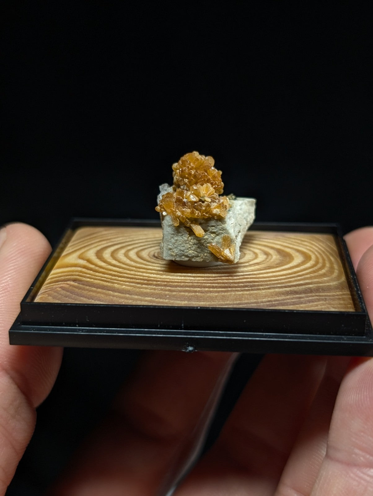 A golden-orange citrine crystal cluster growing from a gray matrix, displayed in an elegant wooden and black frame.