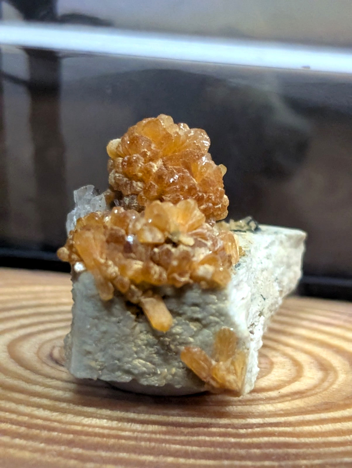 A cluster of translucent amber-colored crystals grows from a gray rock base.