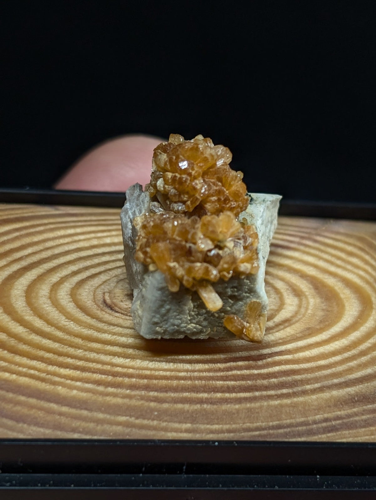 A cluster of golden-orange citrine crystals growing from a gray rock base.
