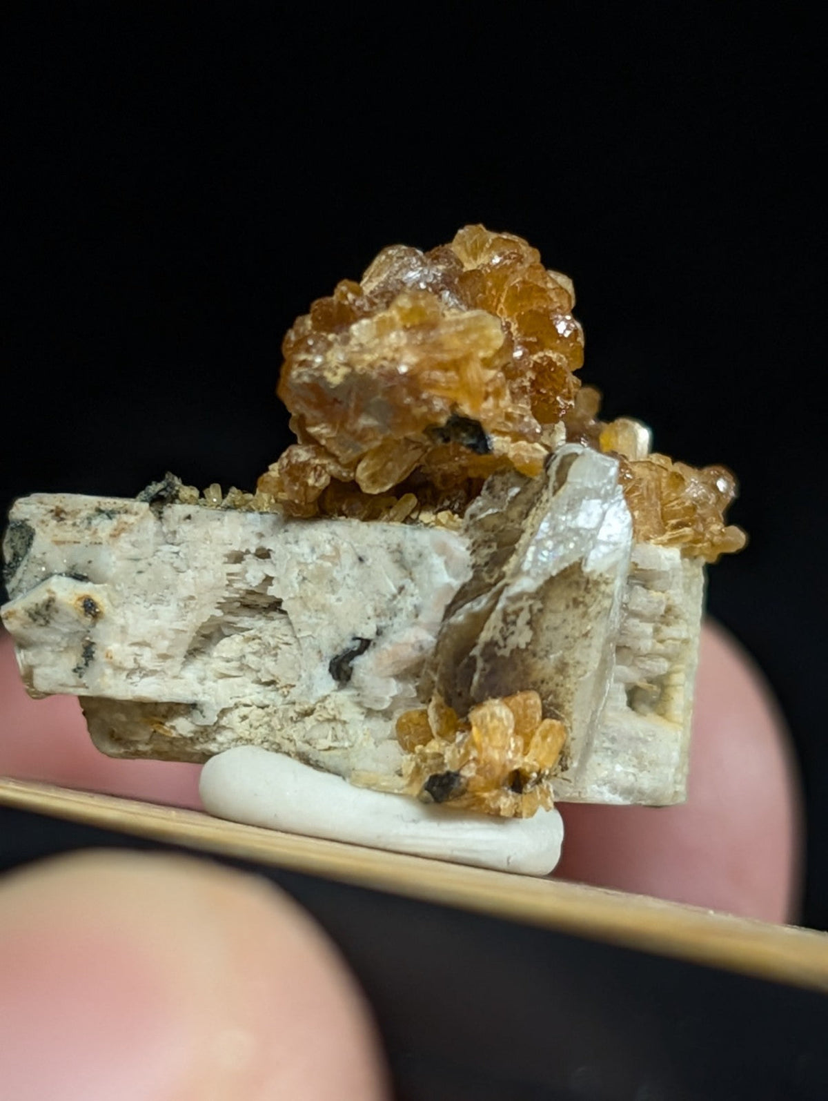 A striking mineral specimen featuring a cluster of translucent amber-colored crystals growing atop and around a textured, light gray rock base.
