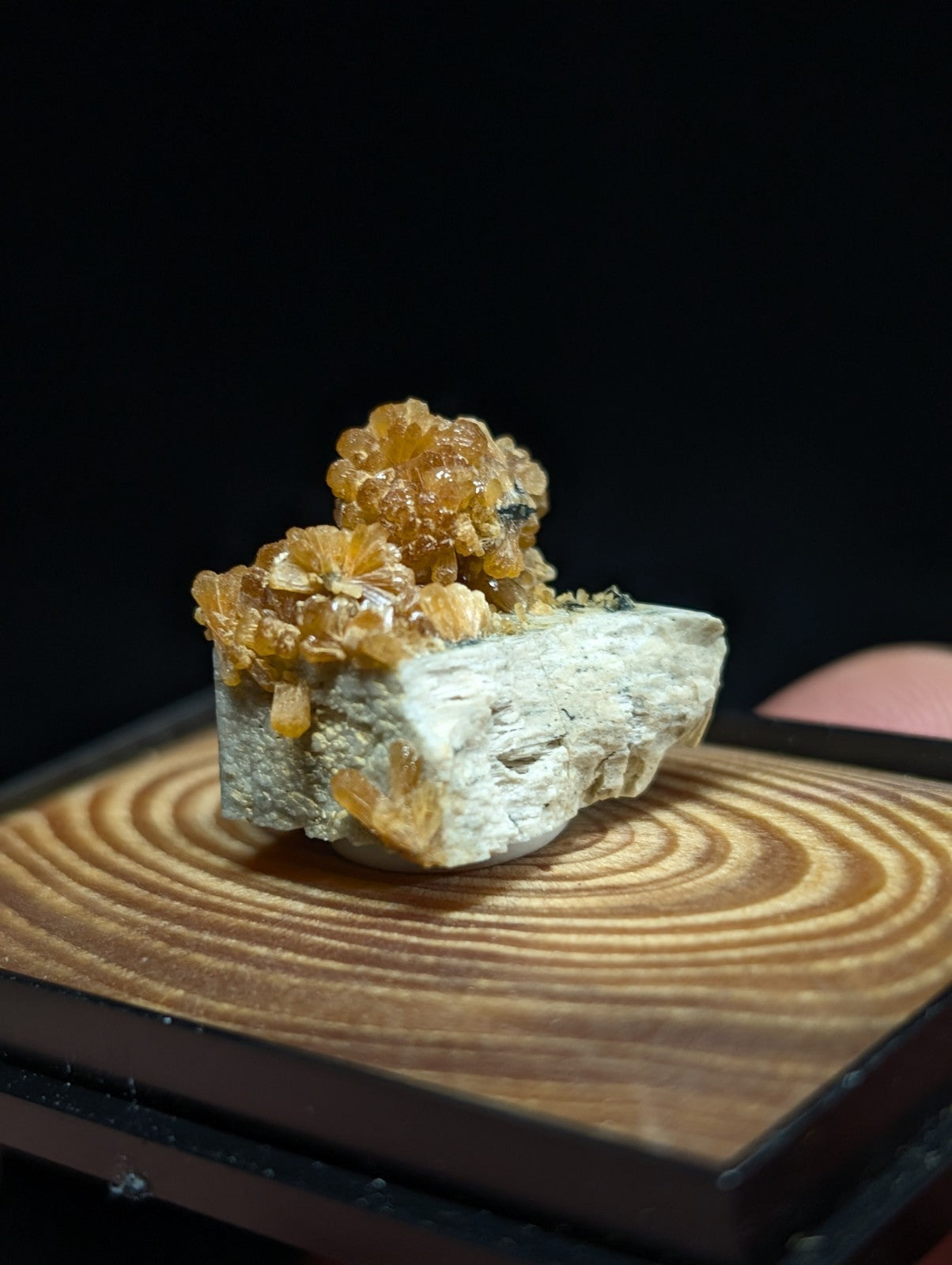 A cluster of golden-orange, crystalline minerals grows atop a pale gray rock base.