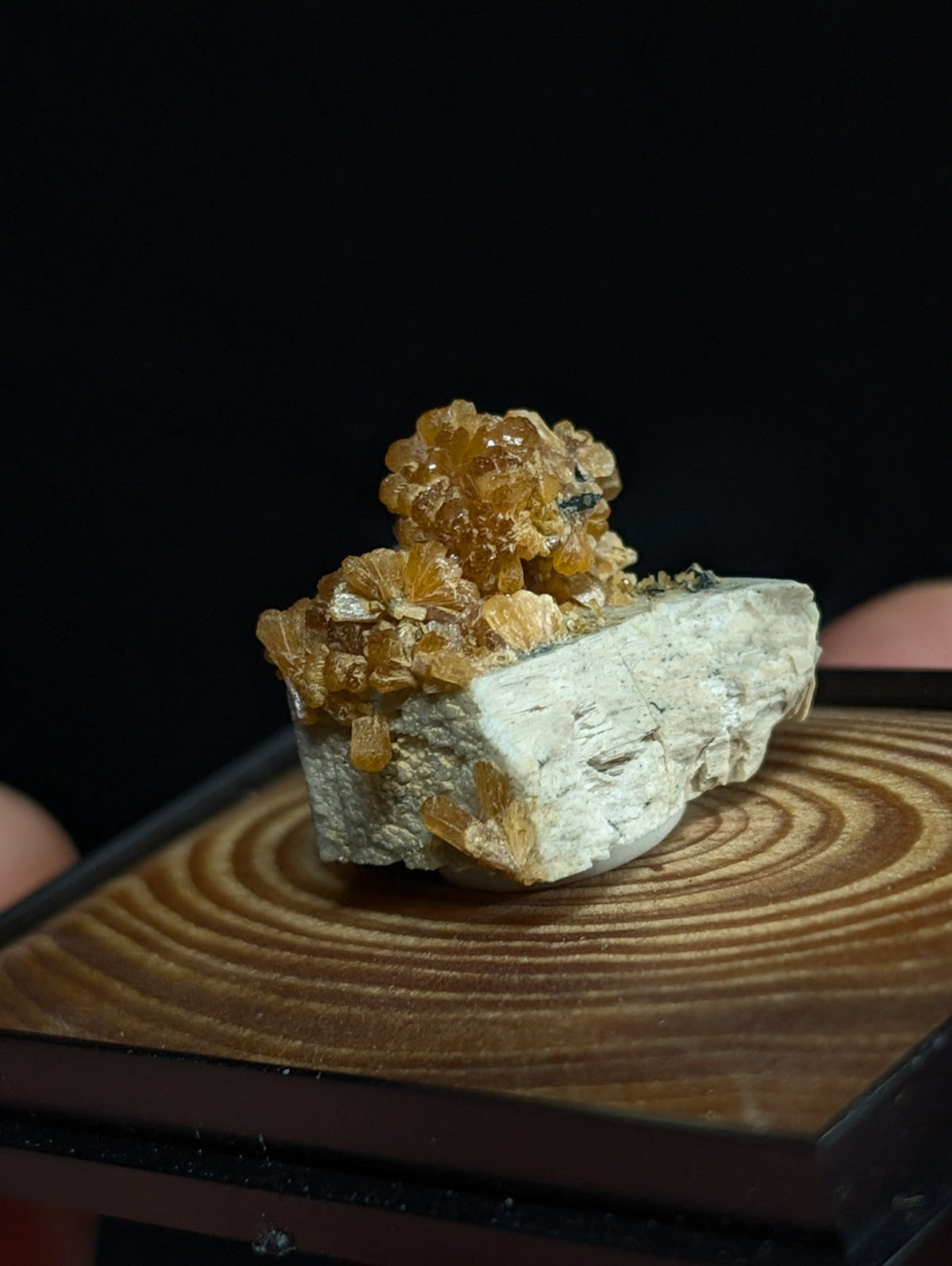 A cluster of translucent golden-orange crystals grows atop a pale, rough-textured rock base.