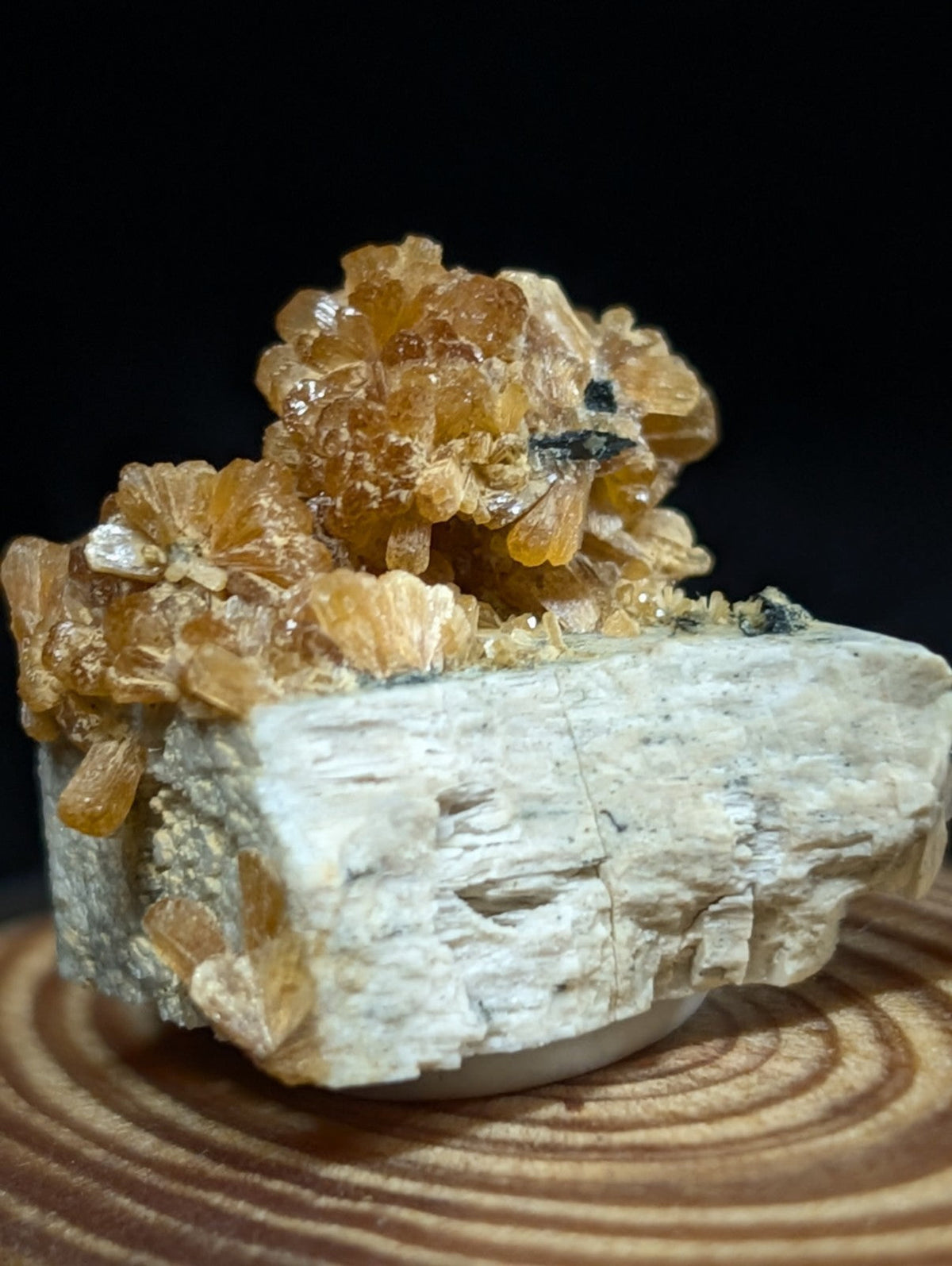 A cluster of translucent amber-colored crystals grows densely atop a rough, light gray rock base.
