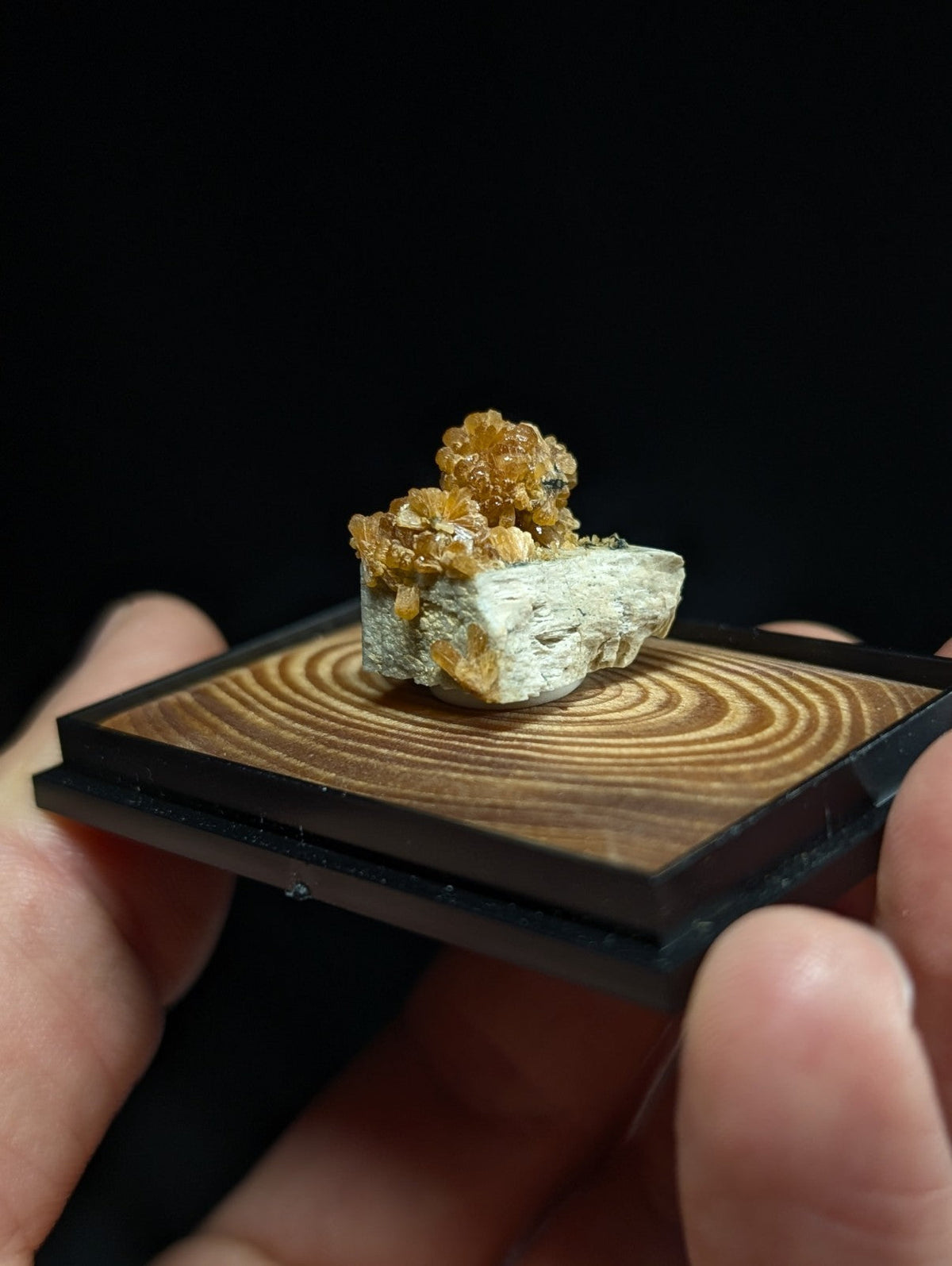 A golden-yellow, crystalline mineral specimen with a rough-textured base rests on a wooden display tray.