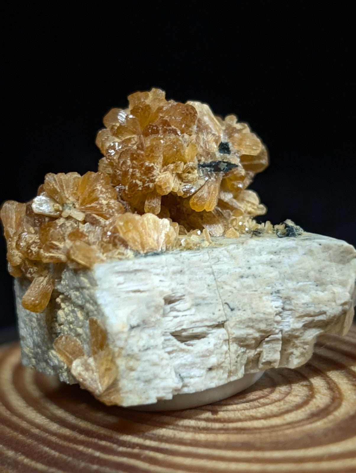 A cluster of translucent amber-colored crystals grows densely atop a rough, light gray rock base.