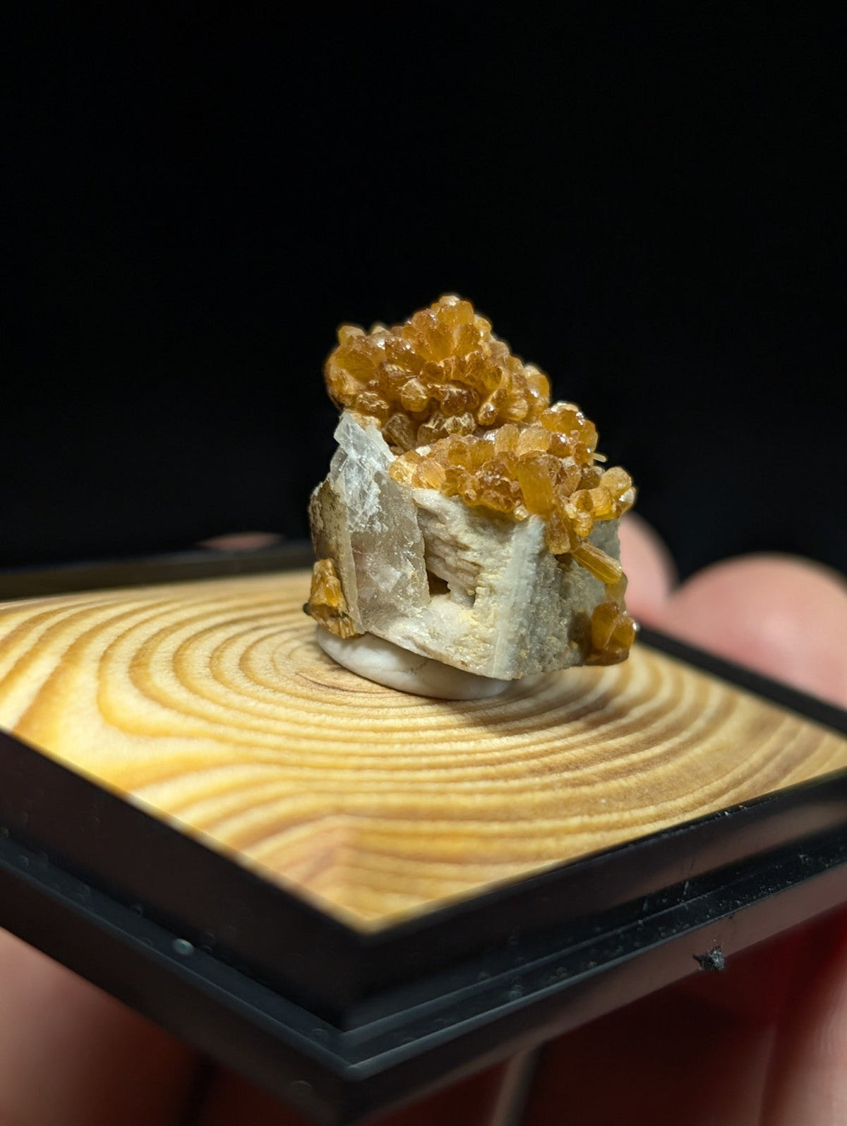 A cluster of golden-yellow citrine crystals growing from a white, textured mineral base.