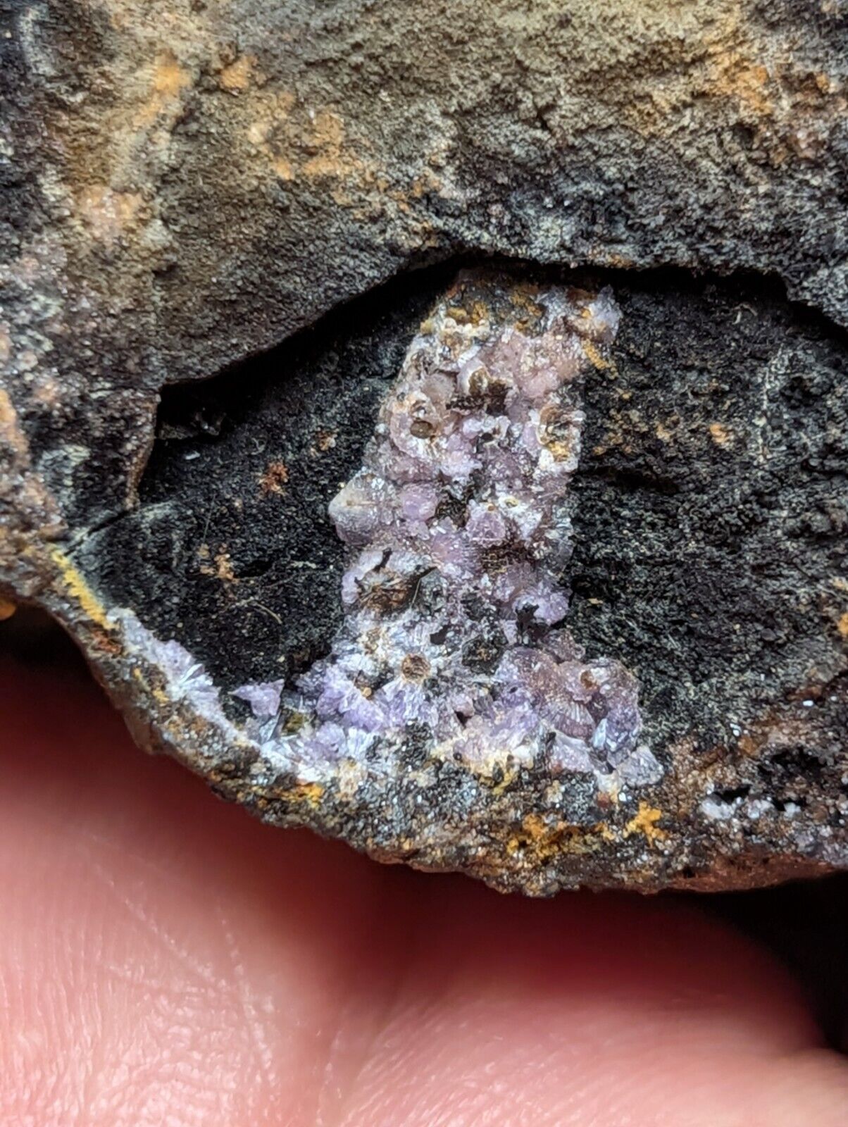 Strengite + other Iron Phosphates -Indian Mountain Alabama USA Old Stock - Collectibles:Rocks Fossils &