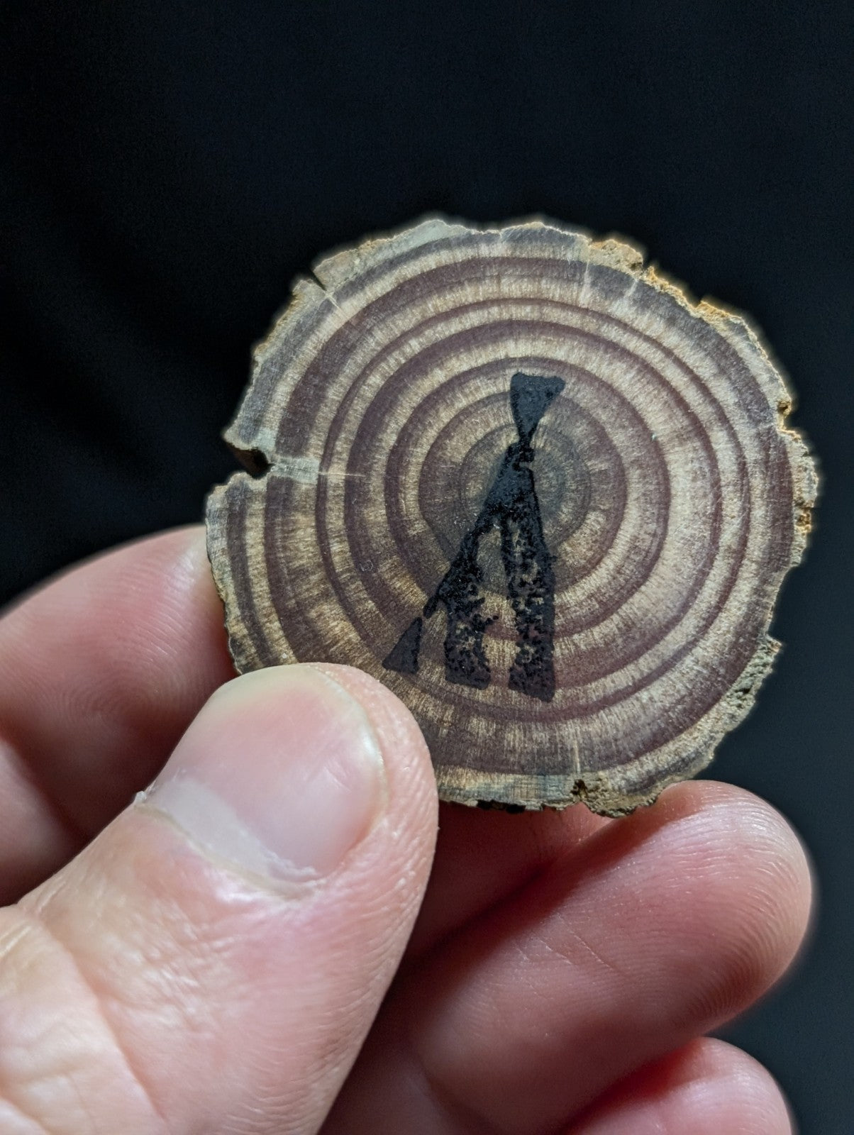 A circular wooden slice with natural concentric rings, featuring a black silhouette of a figure holding a rifle.