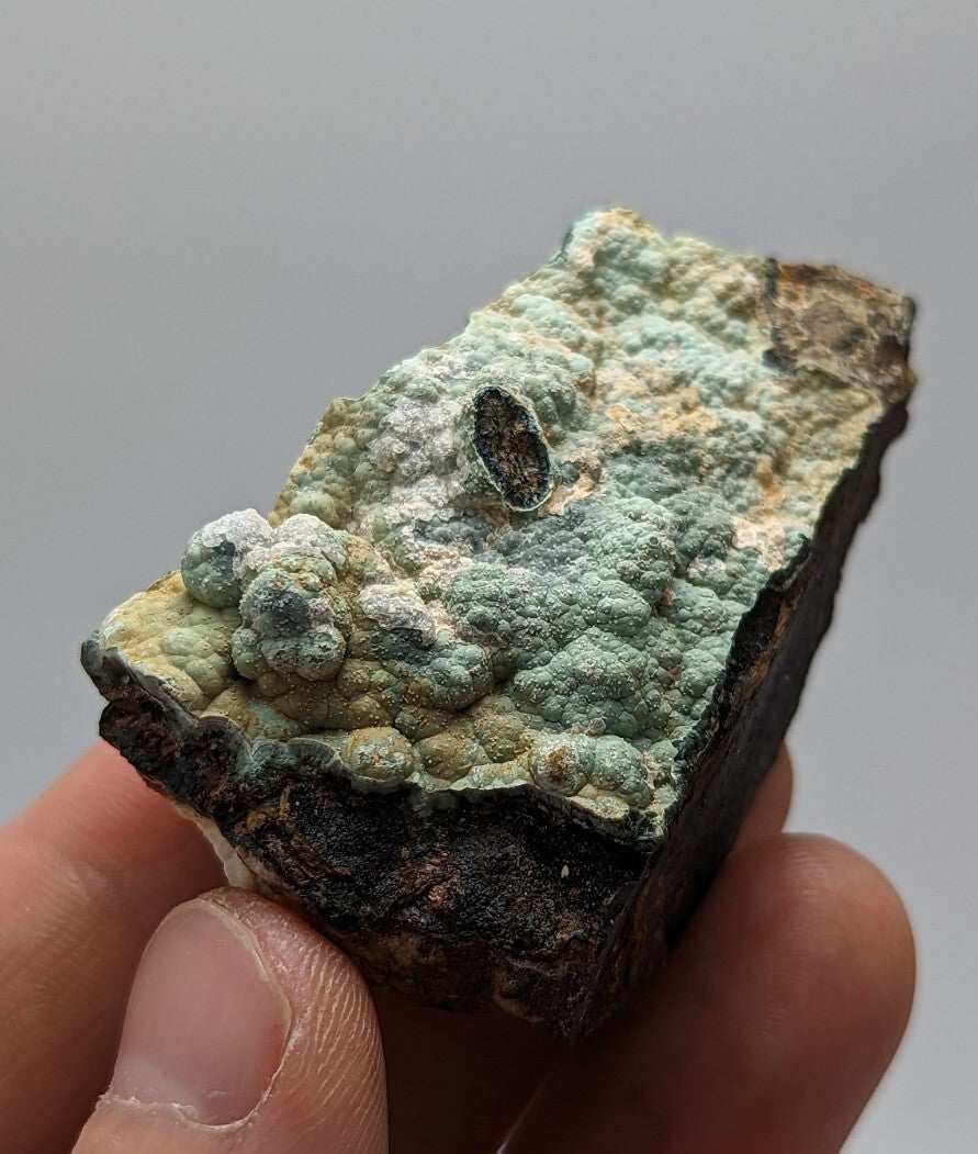 A hand holds a rectangular mineral specimen featuring vibrant green, bumpy formations over dark, rough-textured rock.