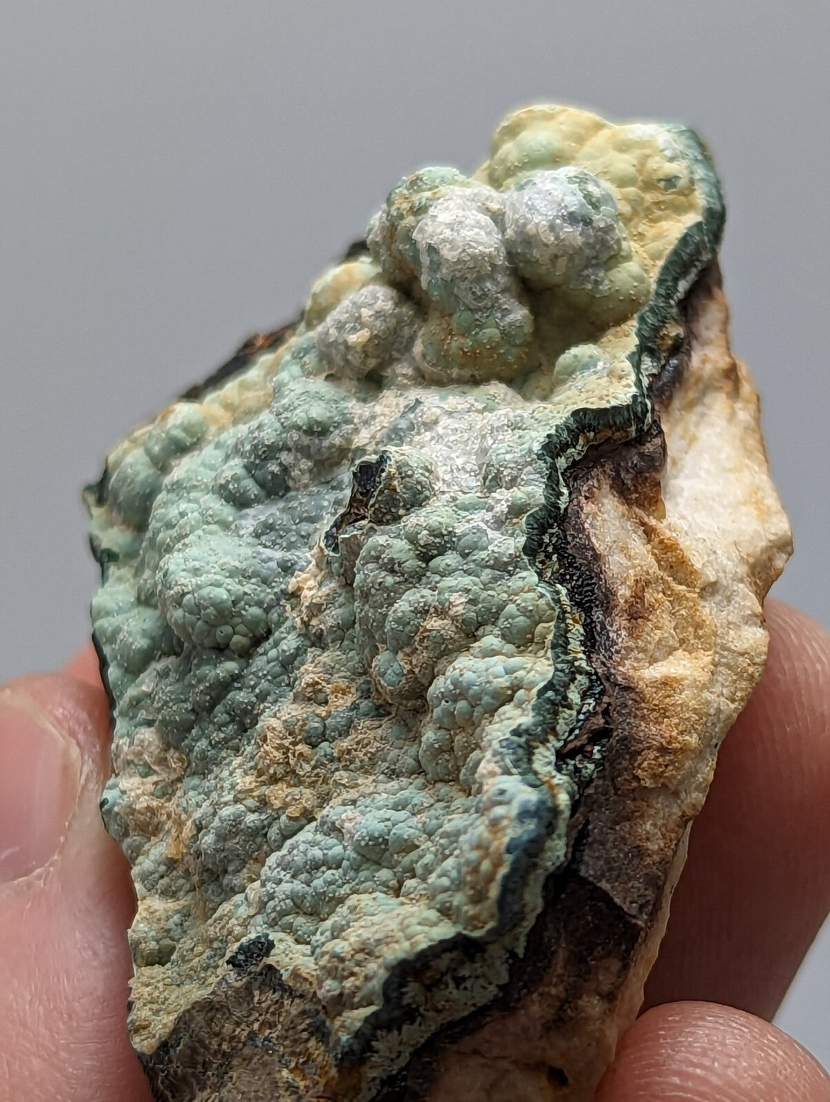A textured, irregularly shaped mineral specimen with a mottled surface of light green and pale yellow hues, accented by dark veining.