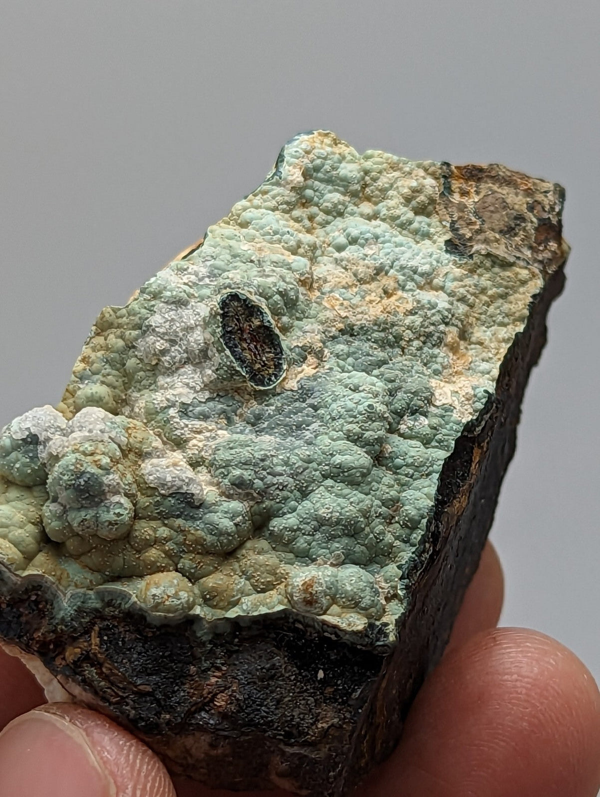 A textured, light green mineral specimen with a rough, bumpy surface and dark brown edges.