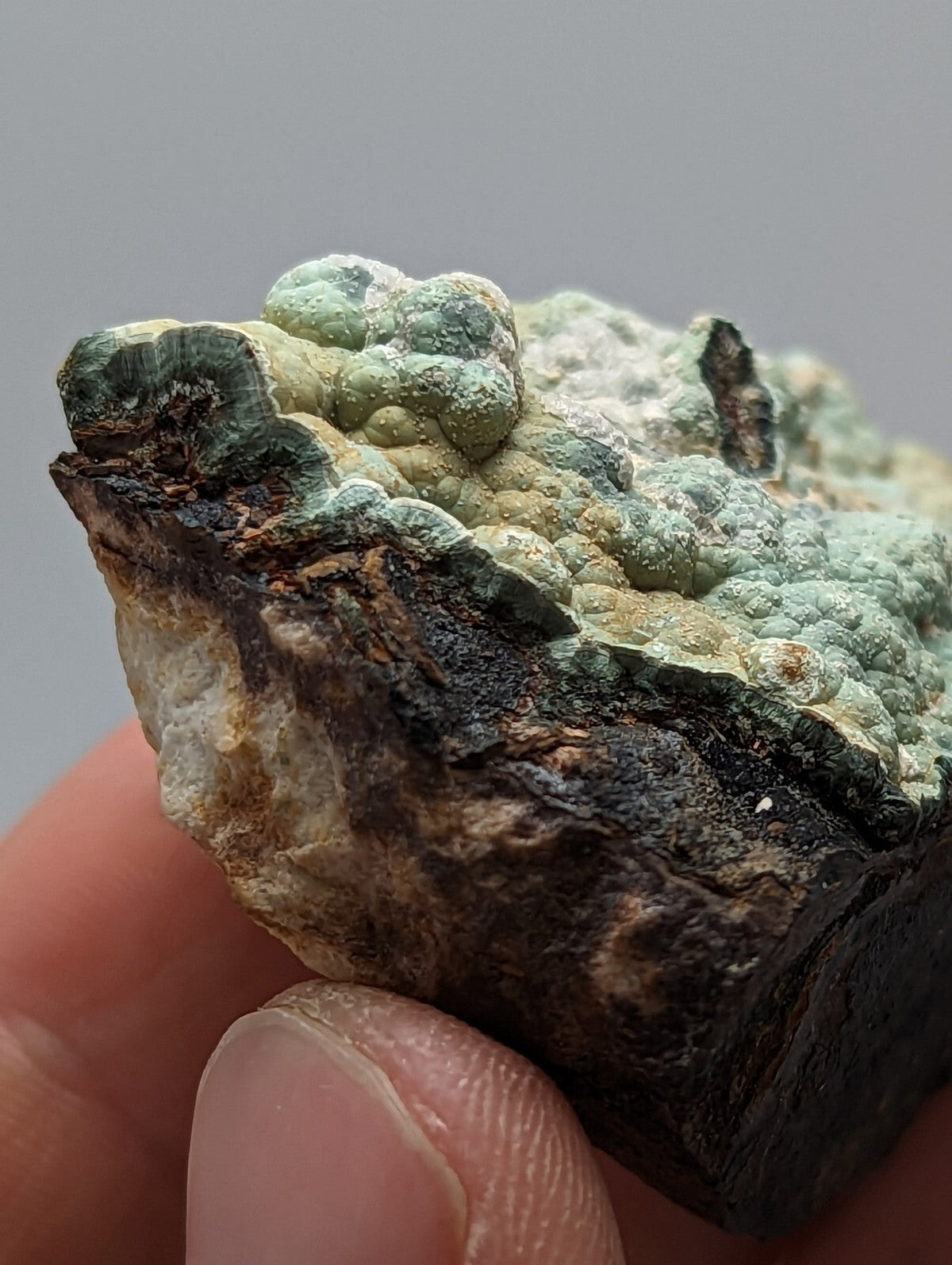A textured mineral specimen with a greenish-blue, bumpy surface and dark brown to black base.