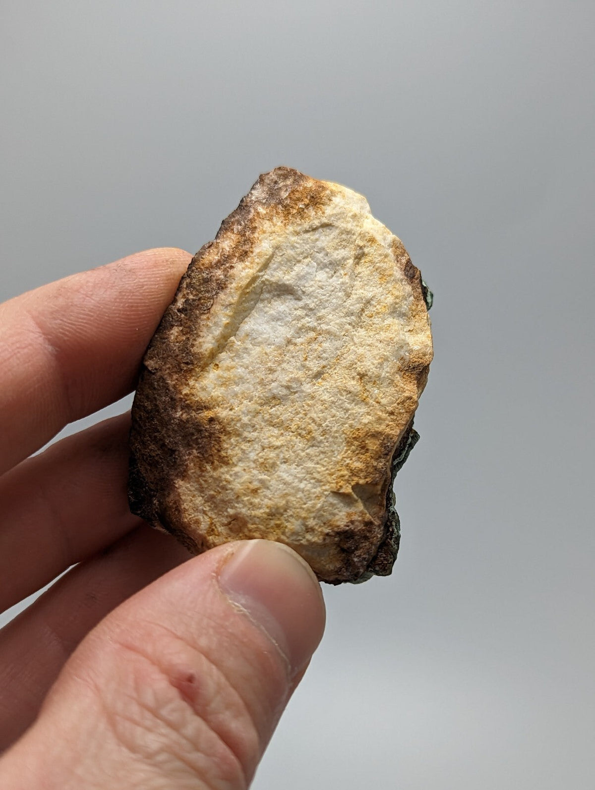 A hand holds a rough, irregularly shaped stone with a mottled surface of beige and dark brown patches.