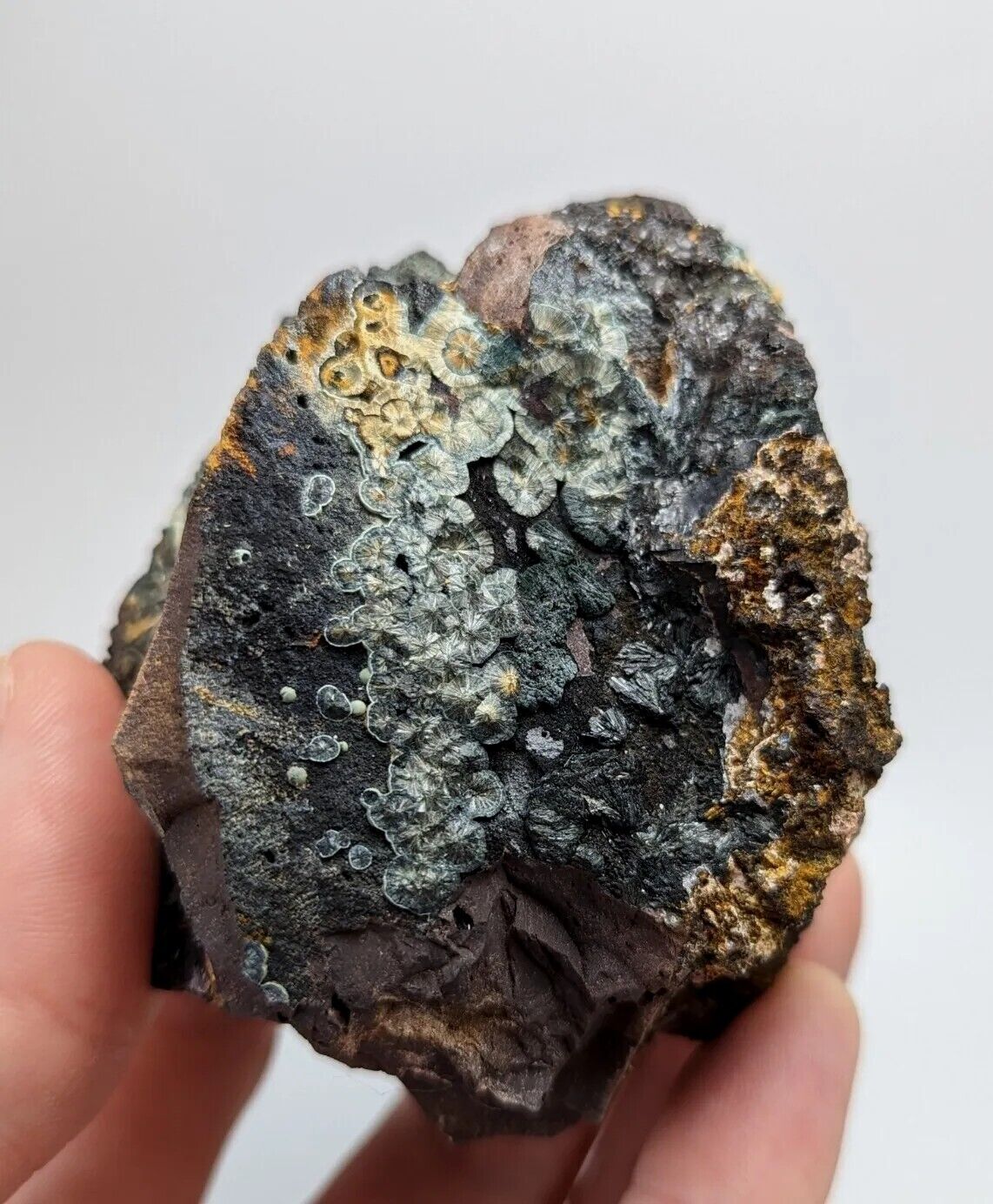 Super Rare Kidwellite Strengite Cacoxenite Combo -York Mine Polk Co Arkansas - Collectibles:Rocks Fossils &