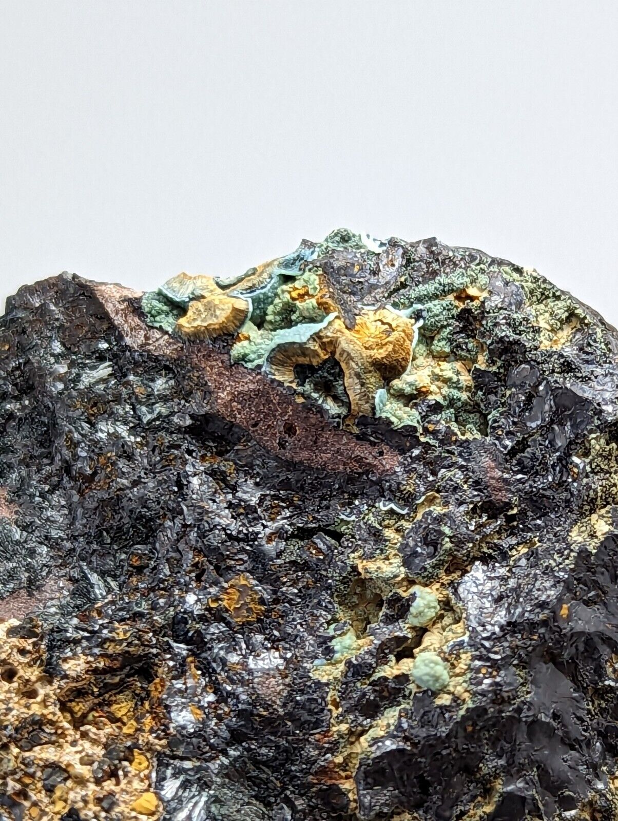 Super Rare Kidwellite Strengite Cacoxenite Combo -York Mine Polk Co Arkansas - Collectibles:Rocks Fossils &