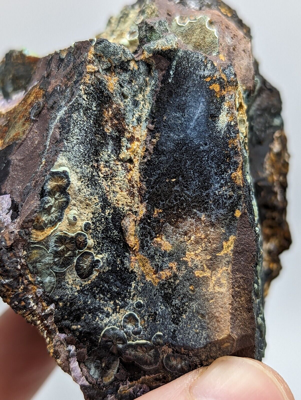 Super Rare Kidwellite Strengite Cacoxenite Combo -York Mine Polk Co Arkansas - Collectibles:Rocks Fossils &